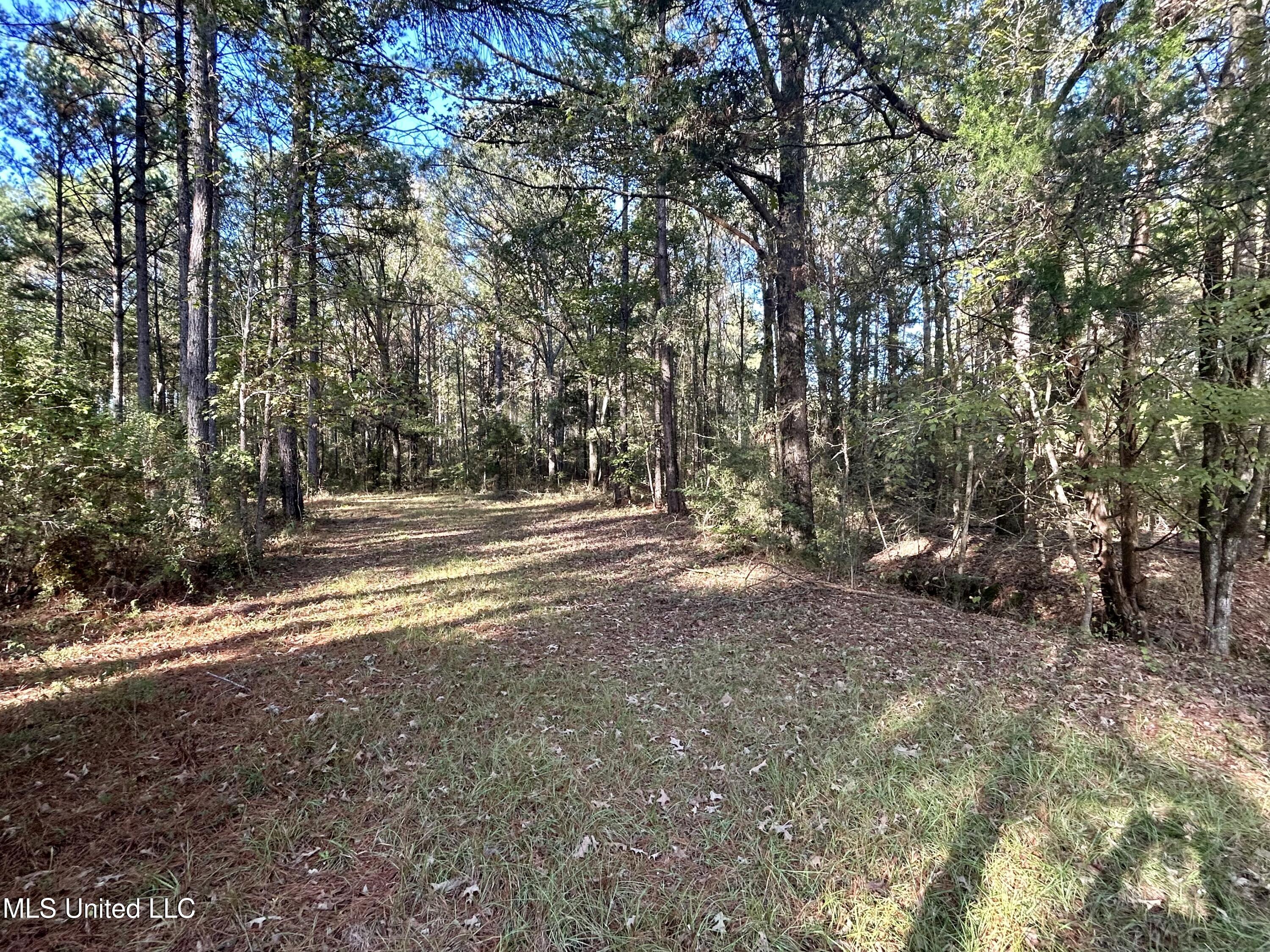 1845 Dry Fork Creek Road