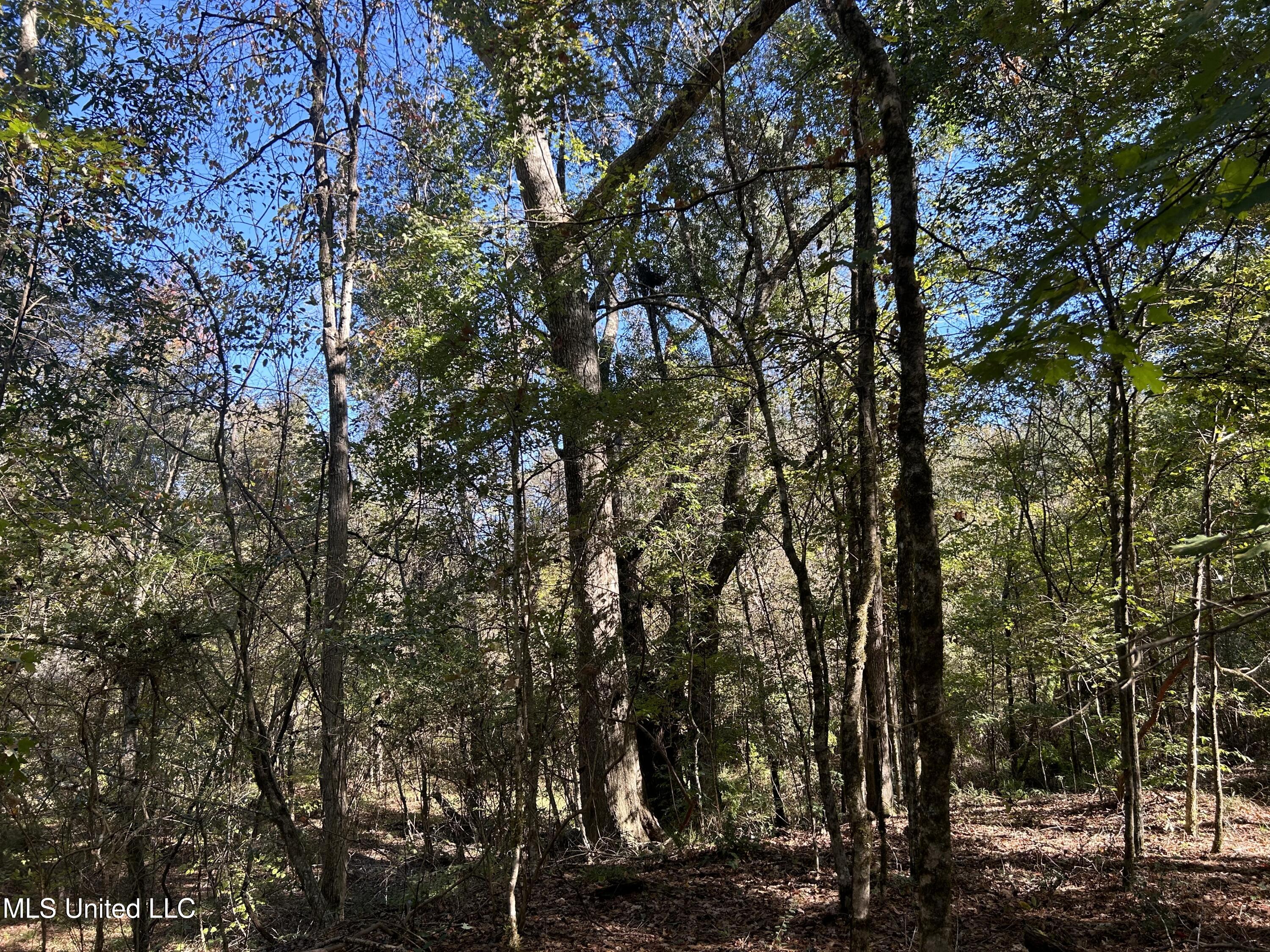 1845 Dry Fork Creek Road