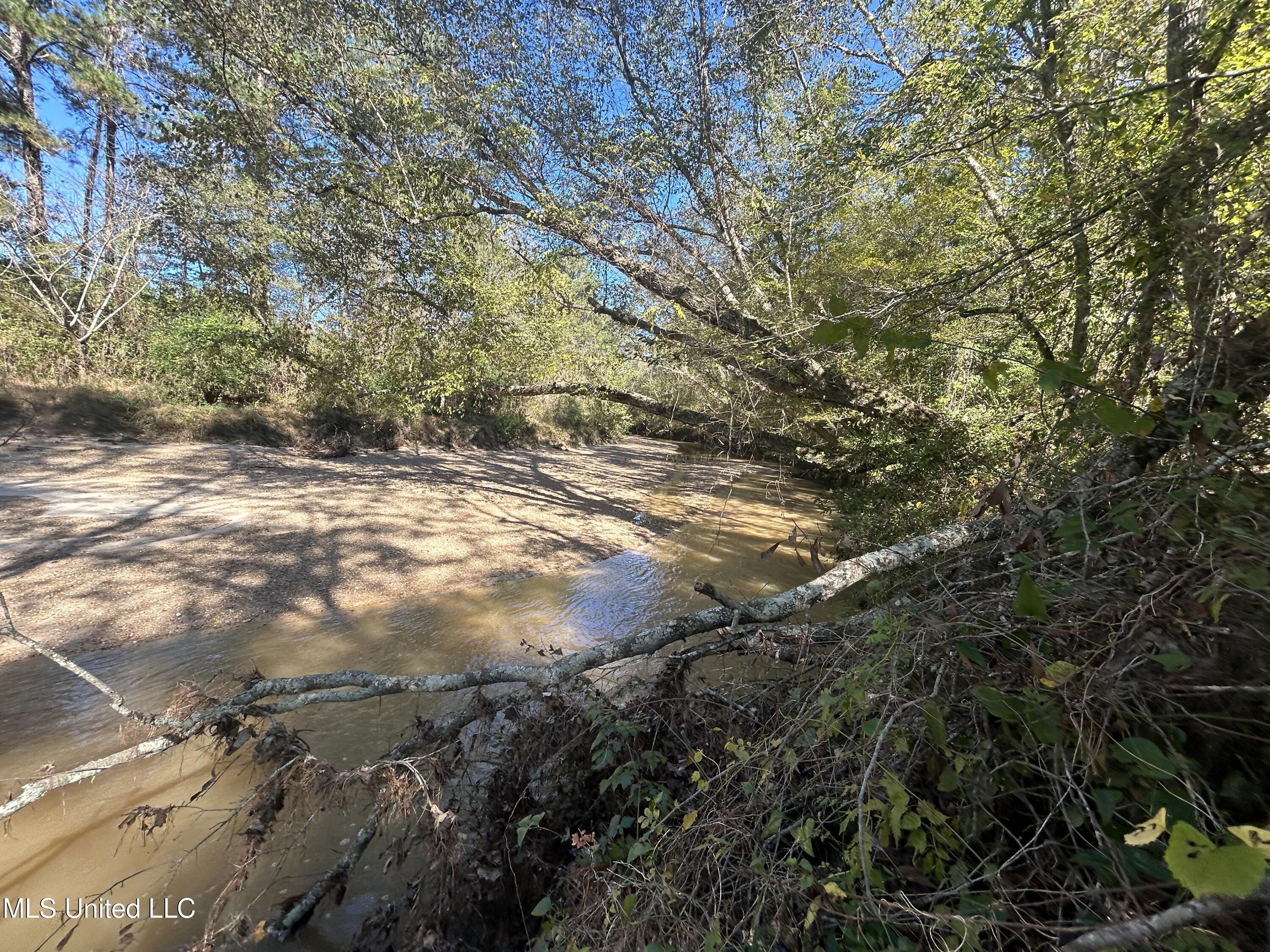 1845 Dry Fork Creek Road