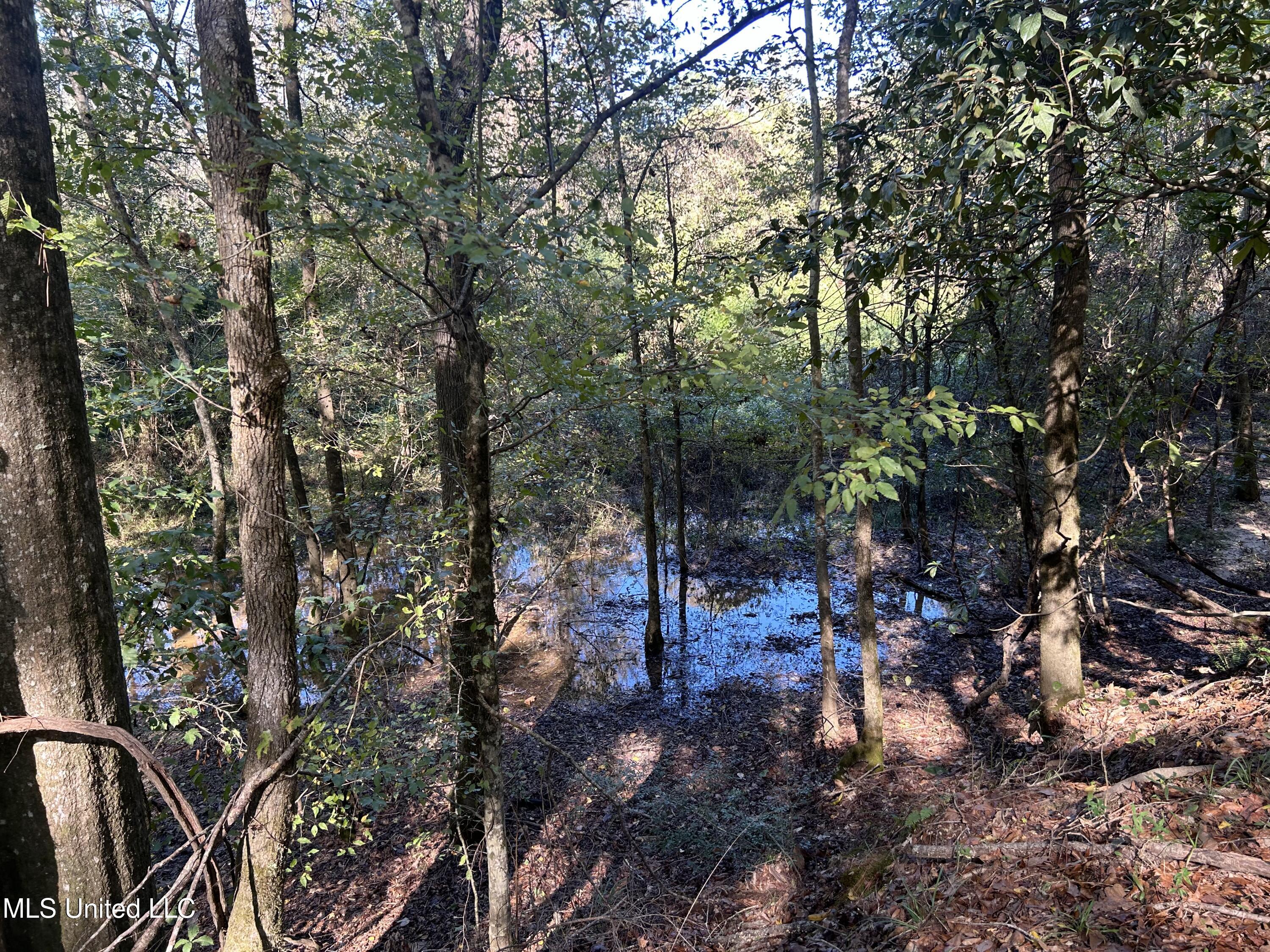 1845 Dry Fork Creek Road