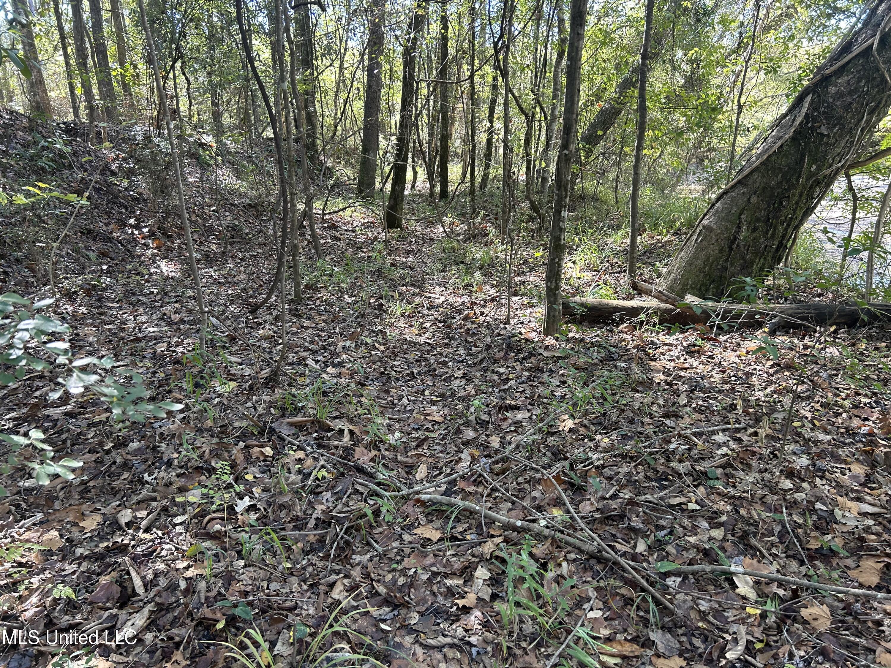 1845 Dry Fork Creek Road