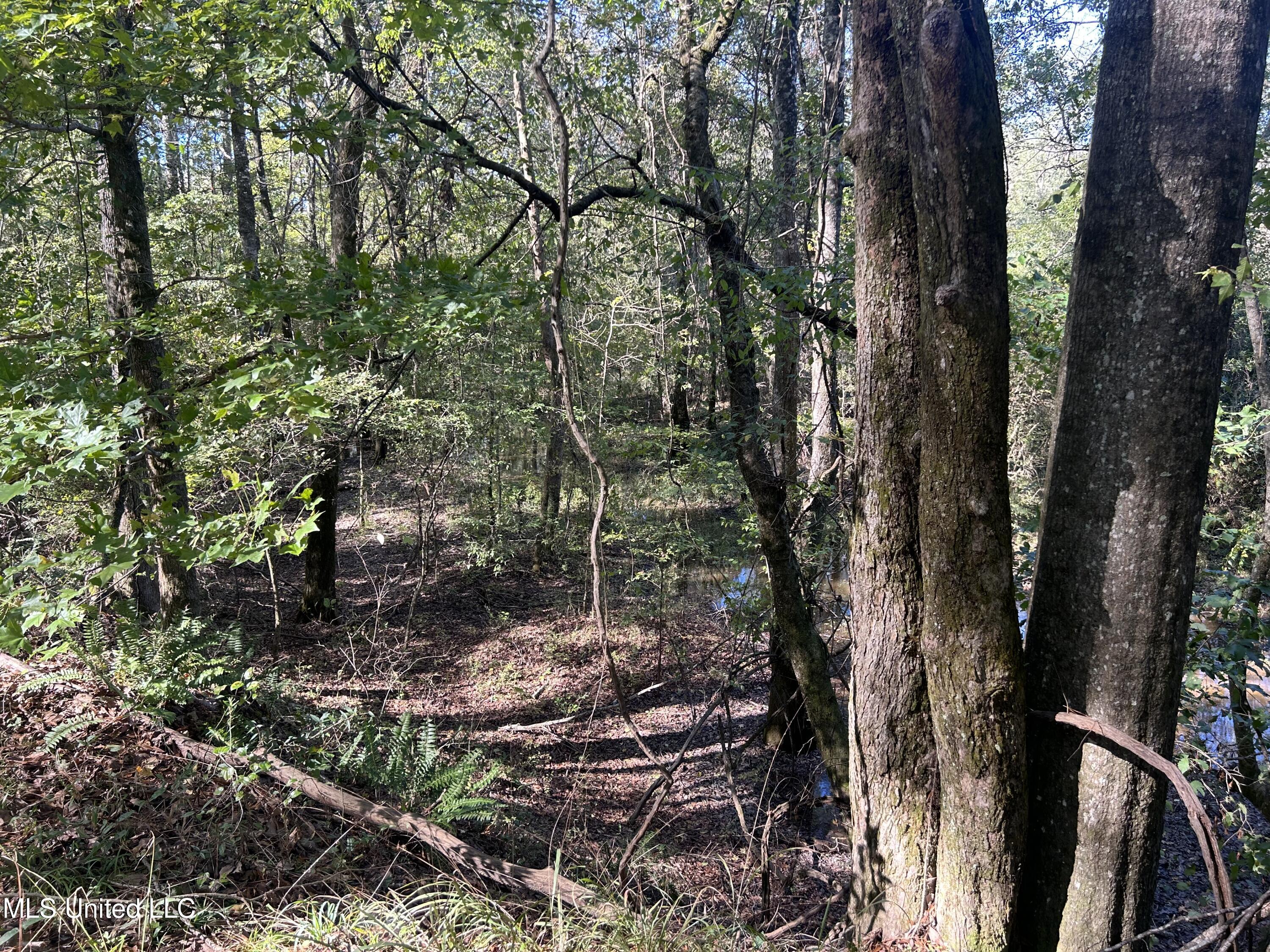 1845 Dry Fork Creek Road