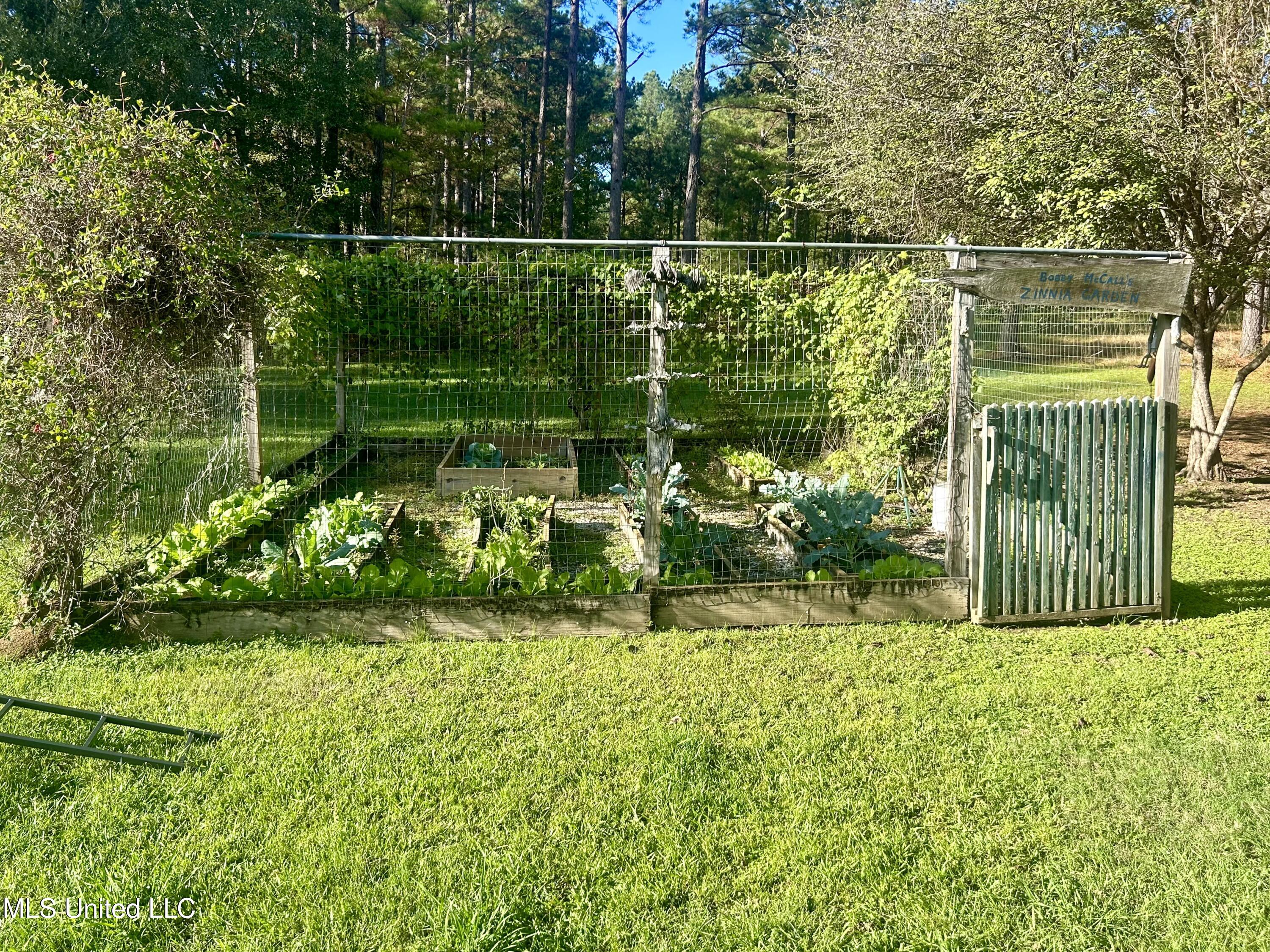 1845 Dry Fork Creek Road