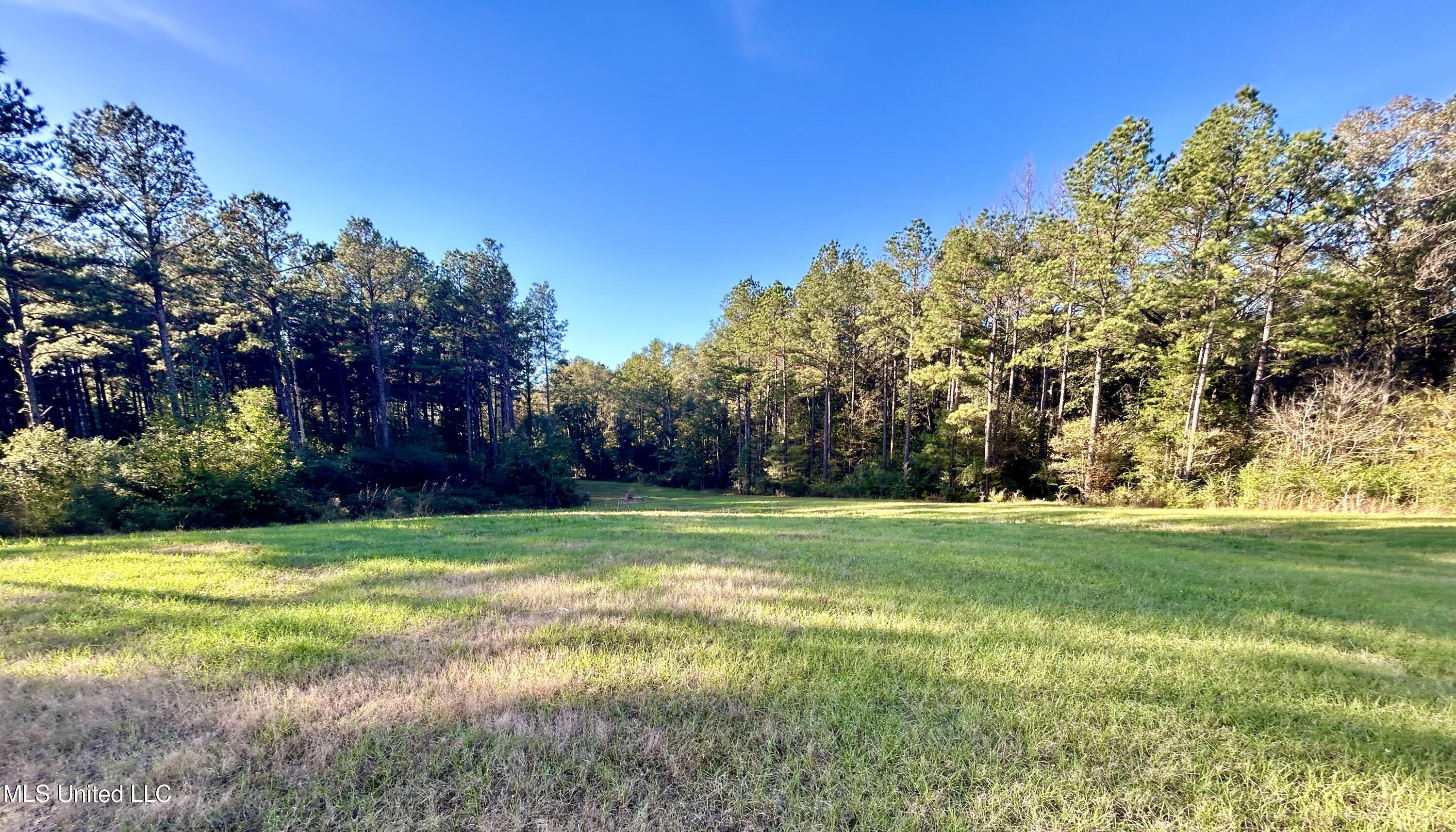 1845 Dry Fork Creek Road