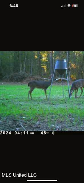 12371 Mcnair Road Nw