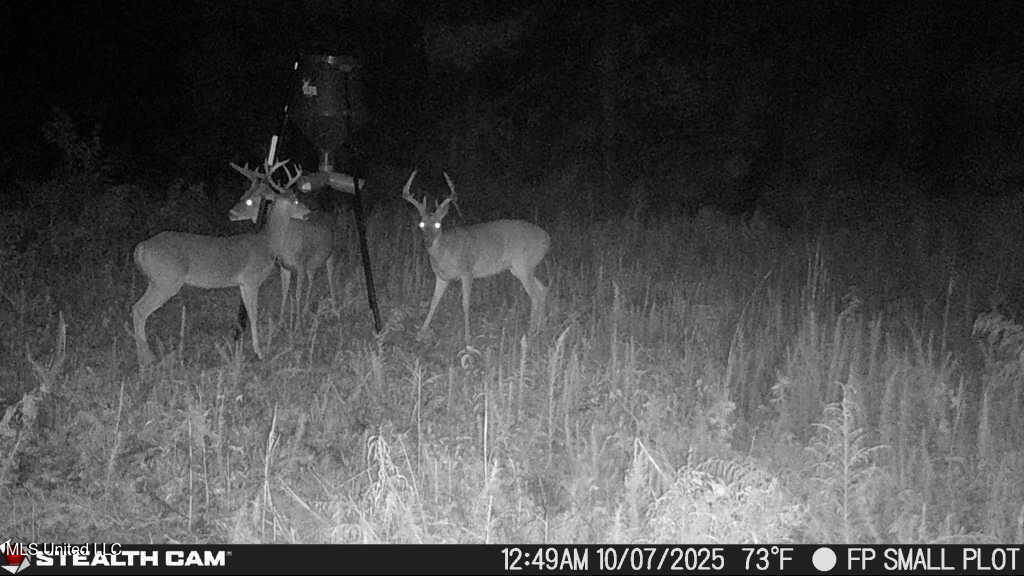 12371 Mcnair Road Nw