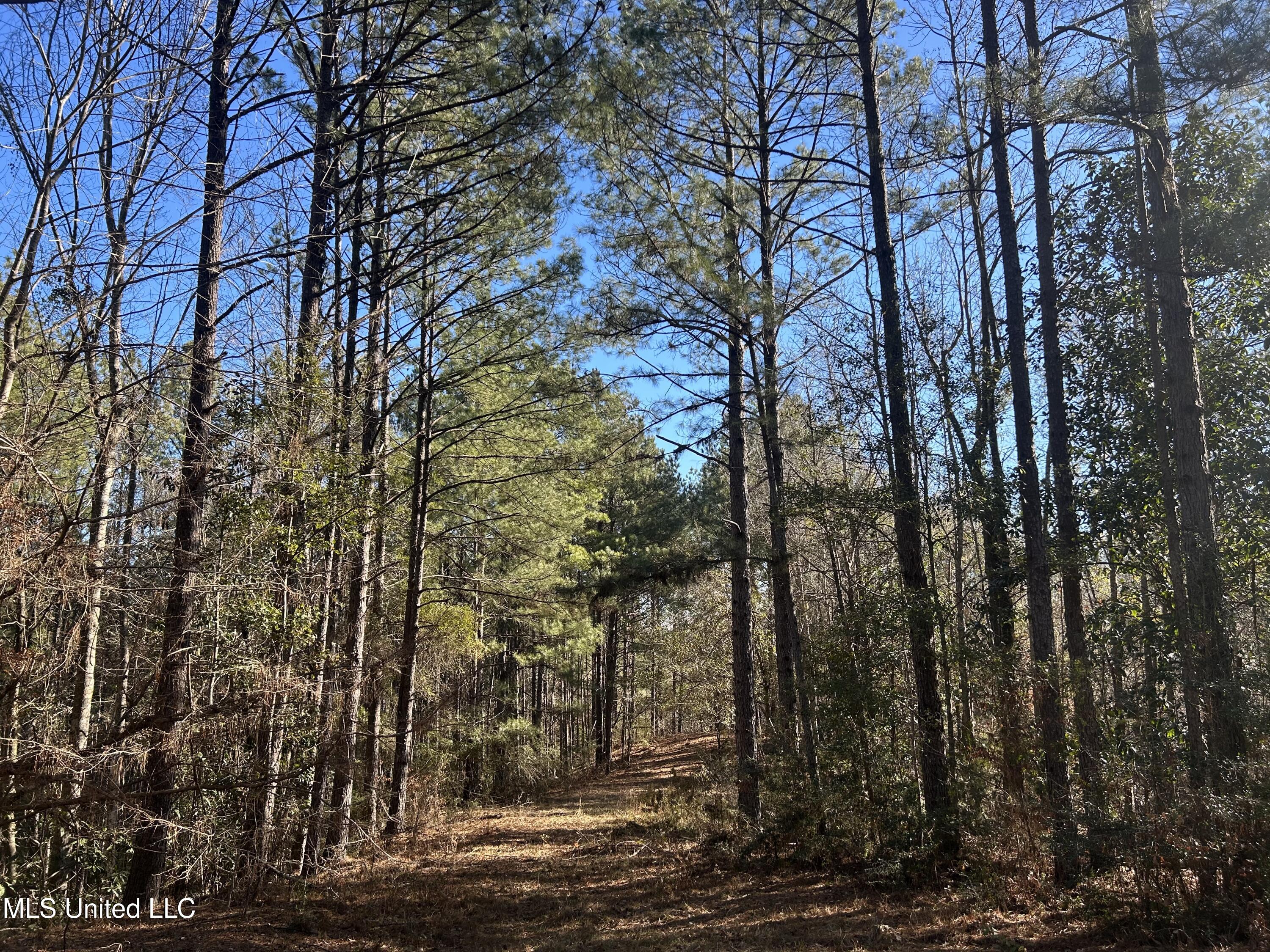 Willie Neyland Road Road