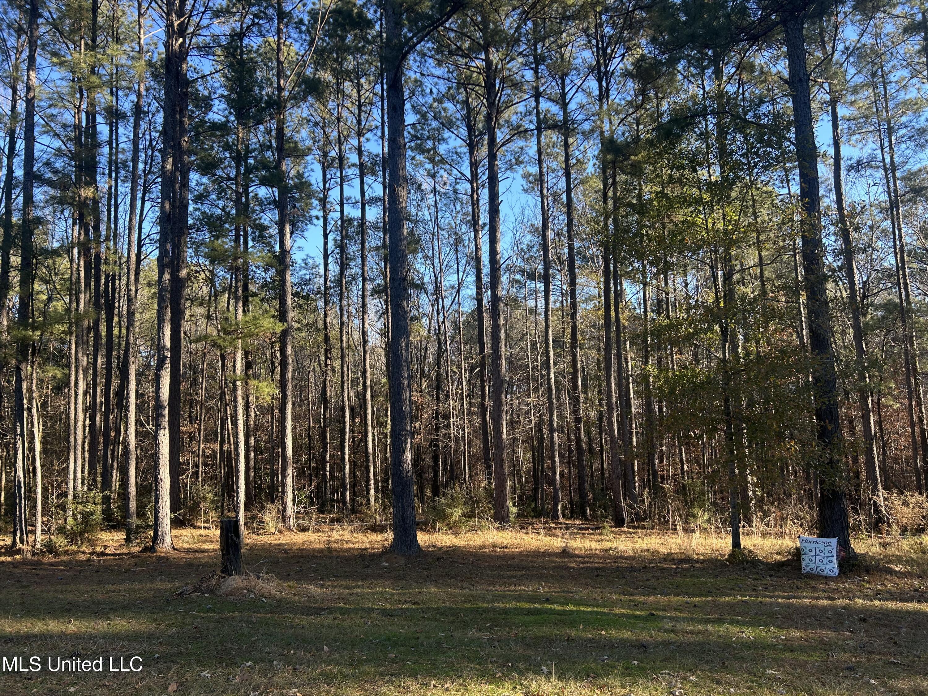 Willie Neyland Road Road