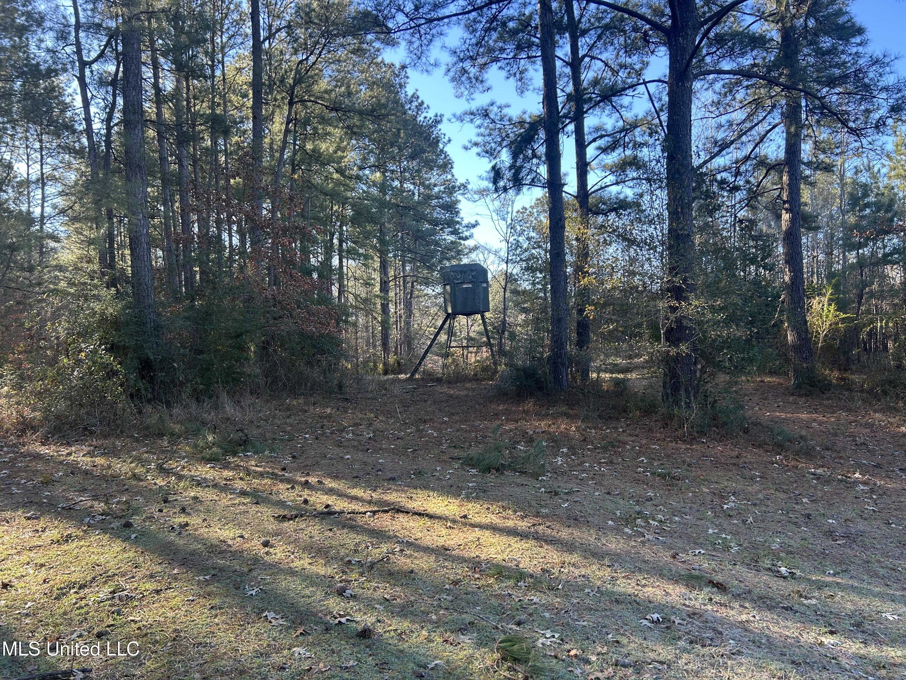 Willie Neyland Road Road