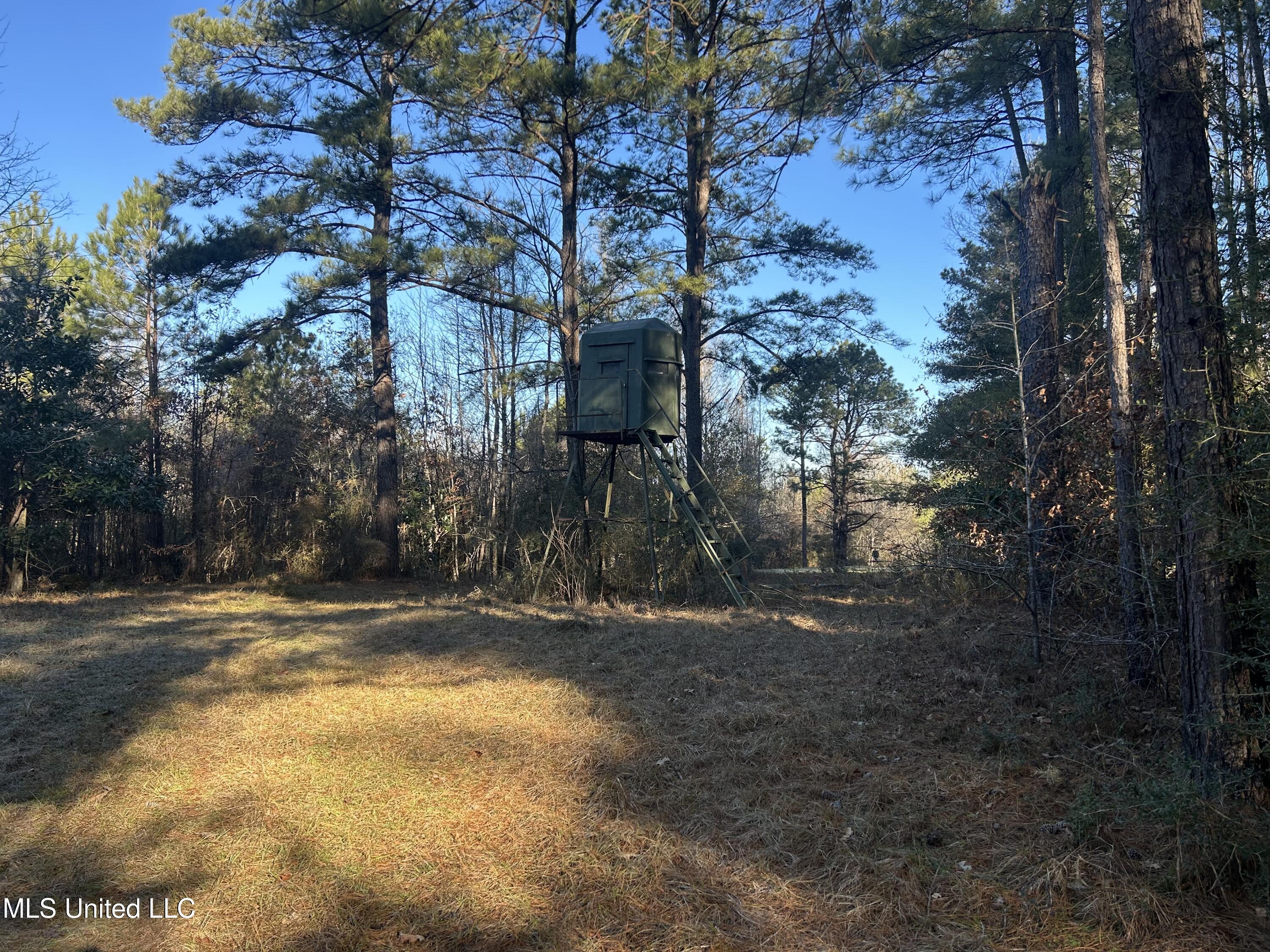Willie Neyland Road Road