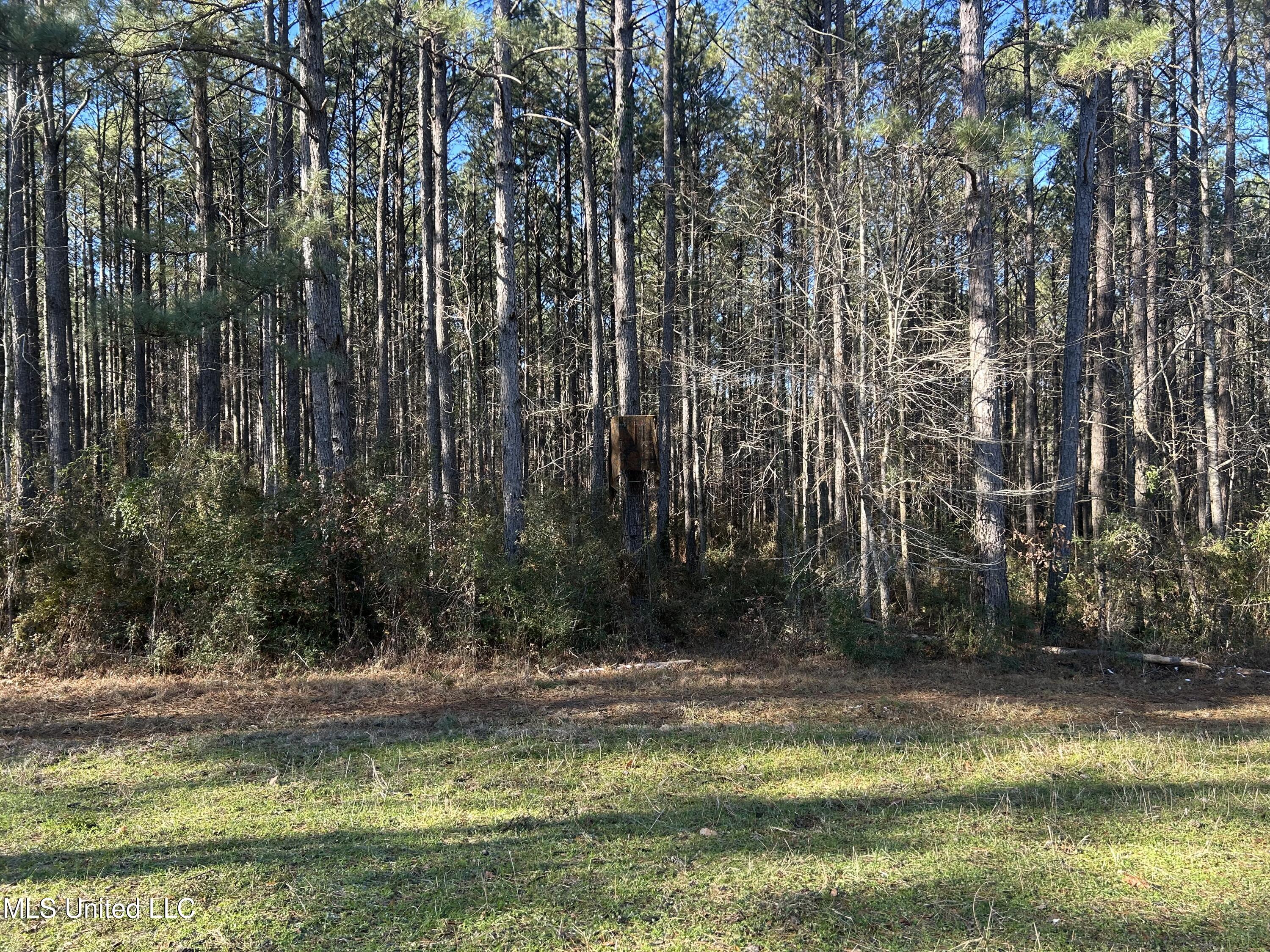 Willie Neyland Road Road