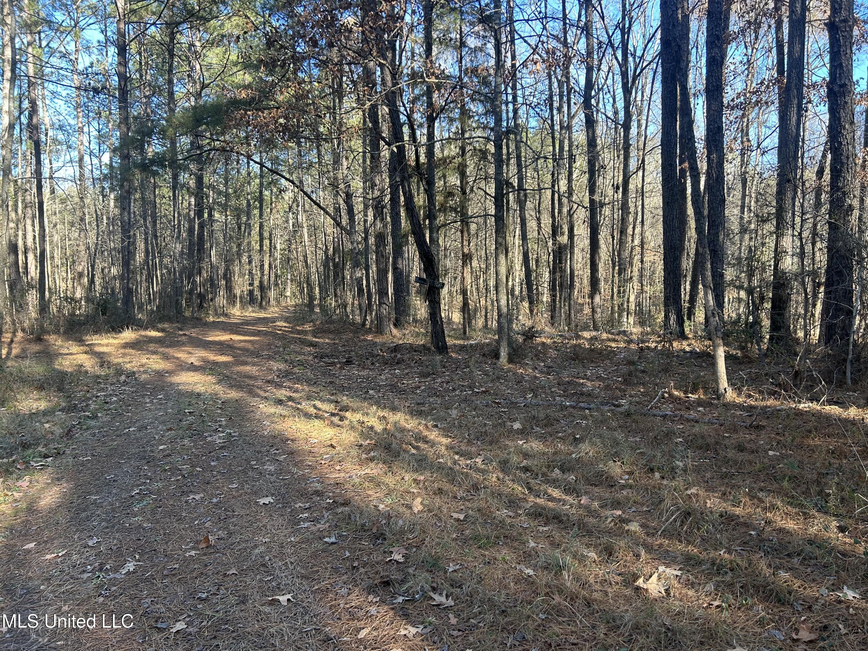 Willie Neyland Road Road
