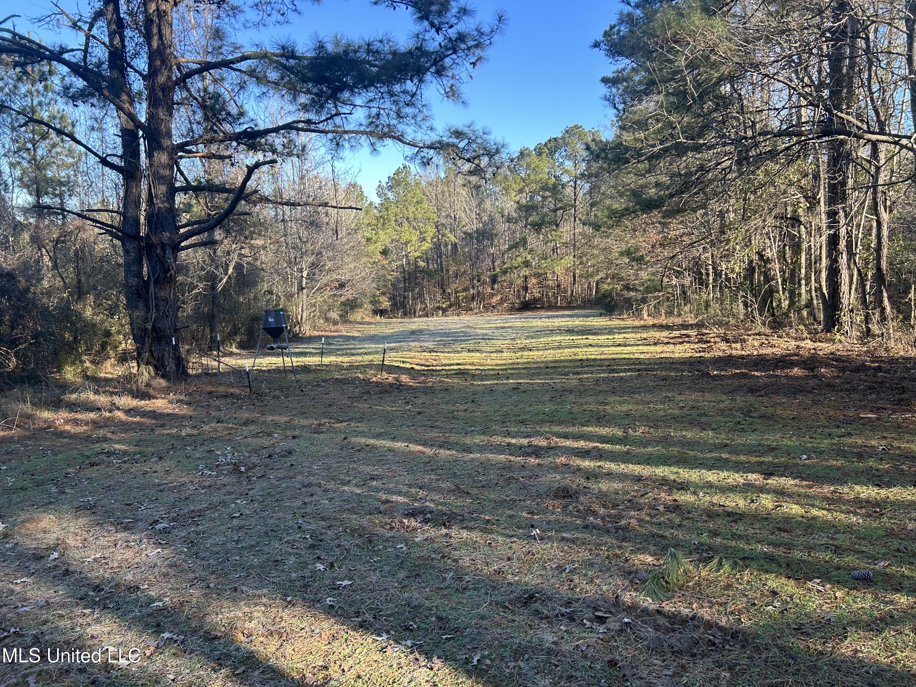 Willie Neyland Road Road