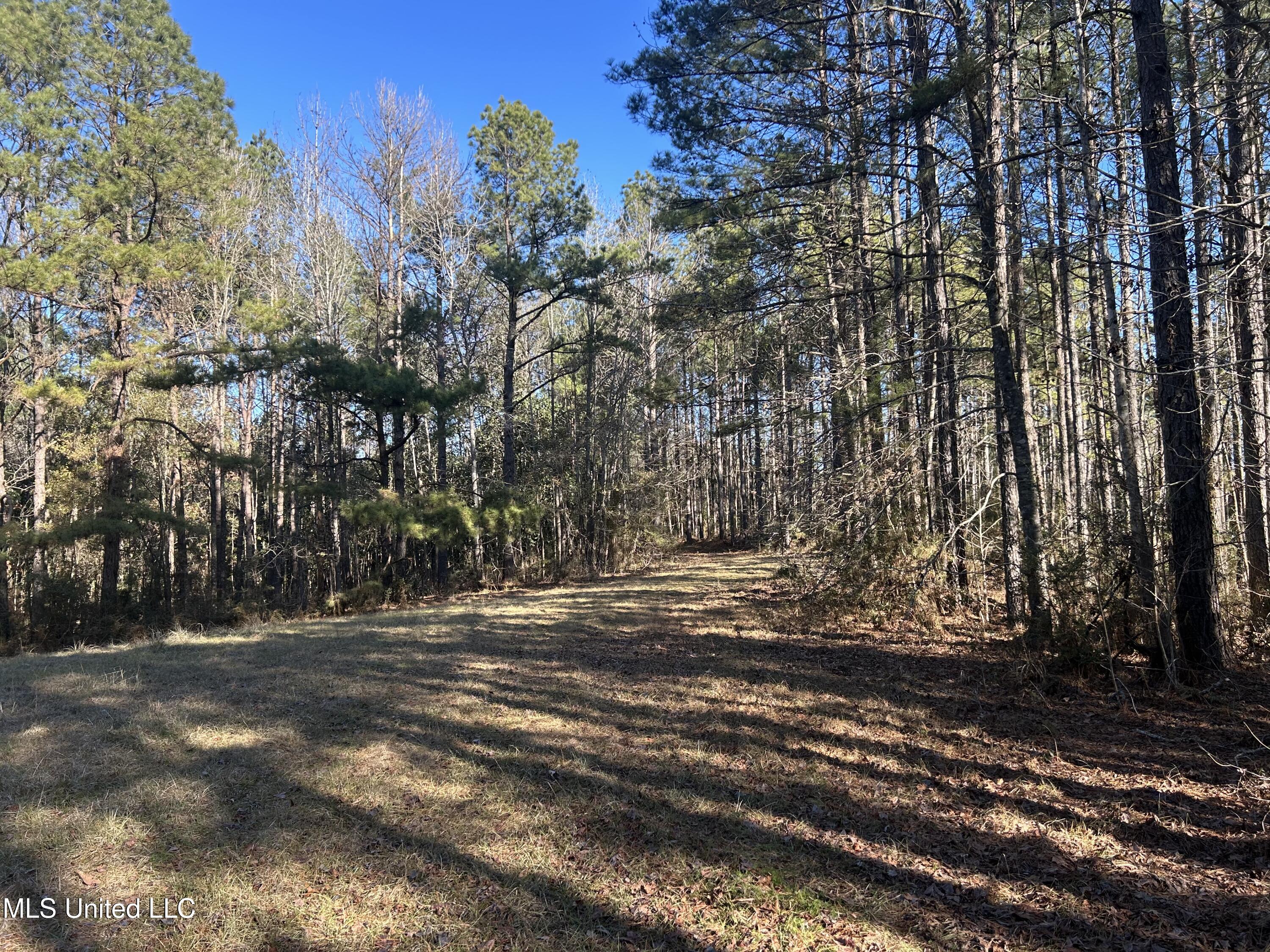 Willie Neyland Road Road