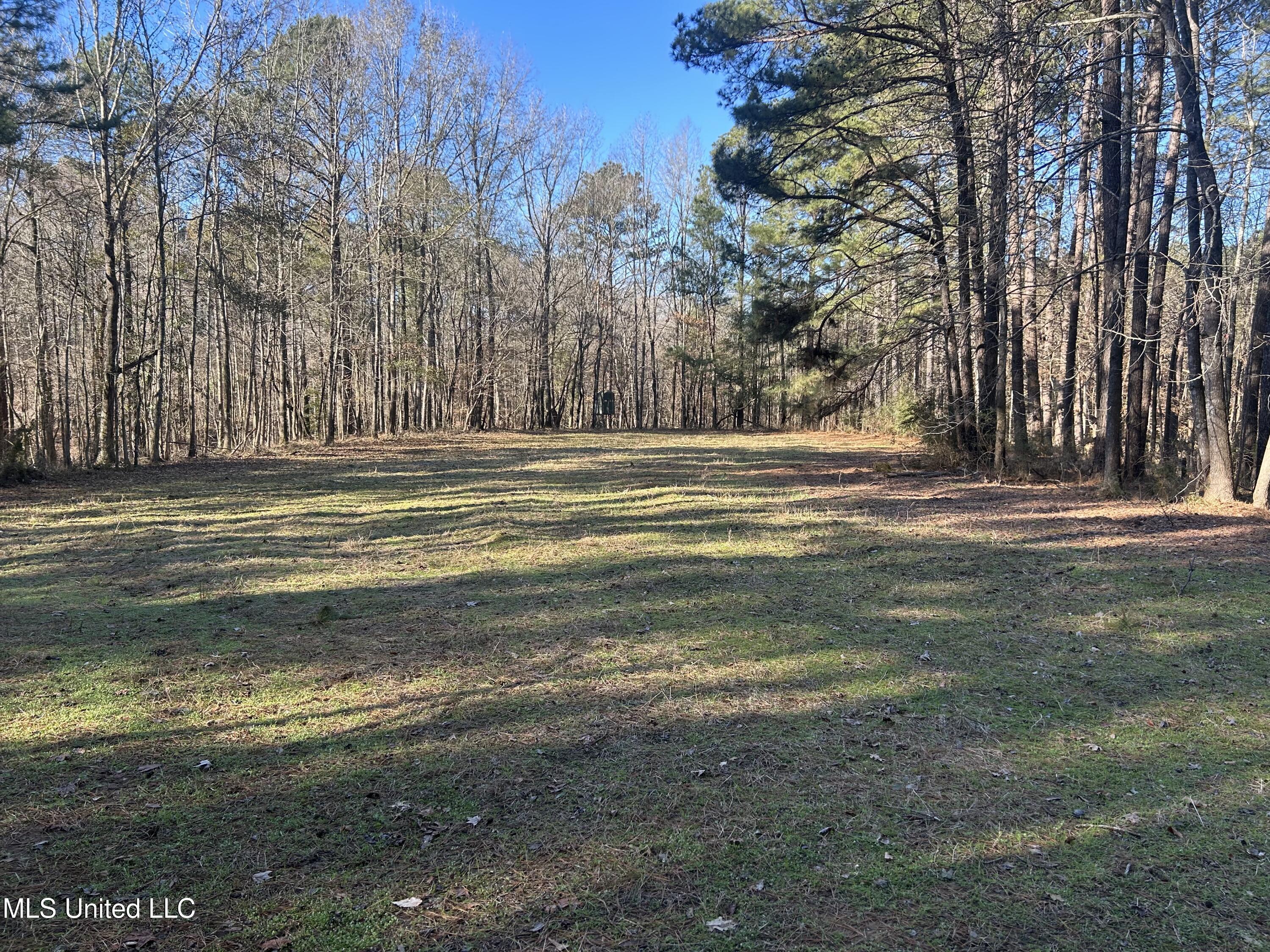 Willie Neyland Road Road