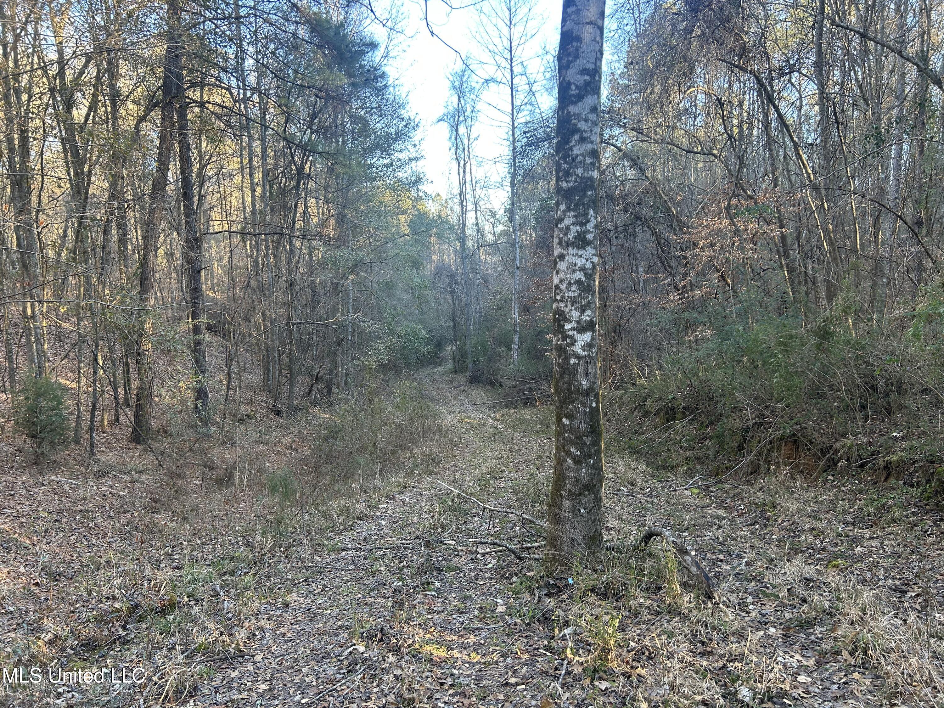 Willie Neyland Road Road