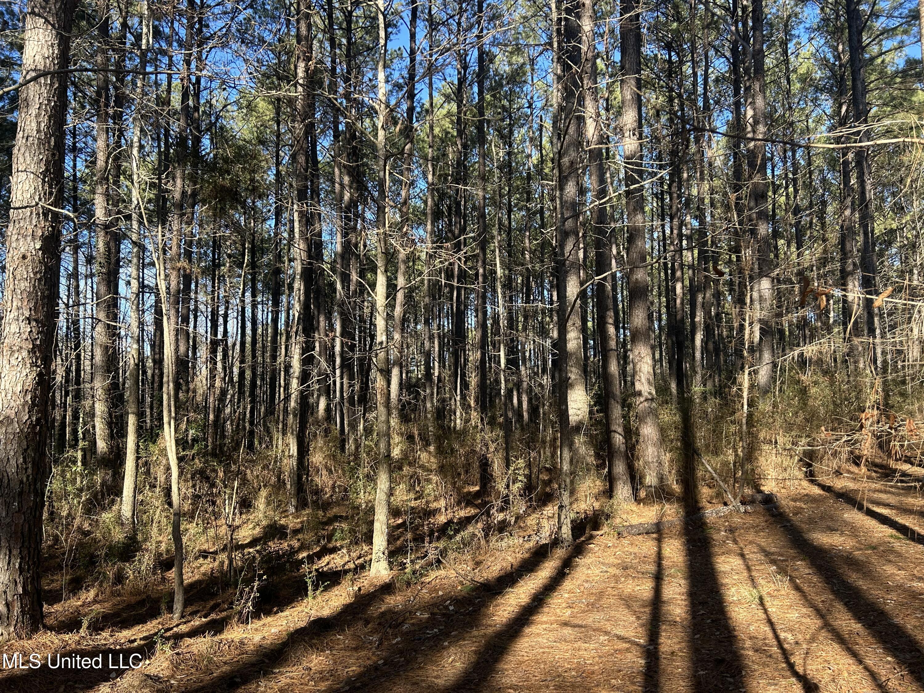 Willie Neyland Road Road