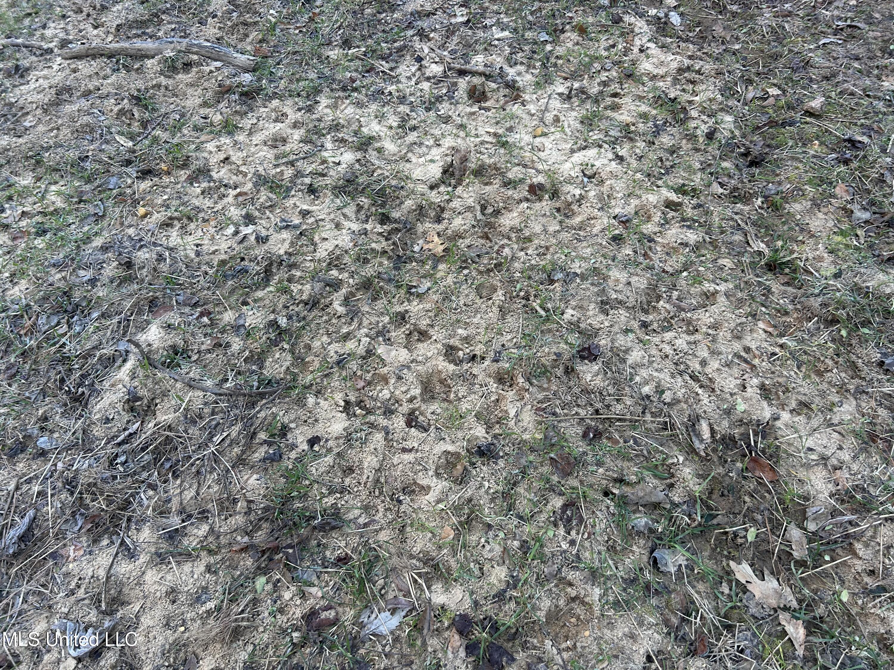 Willie Neyland Road Road