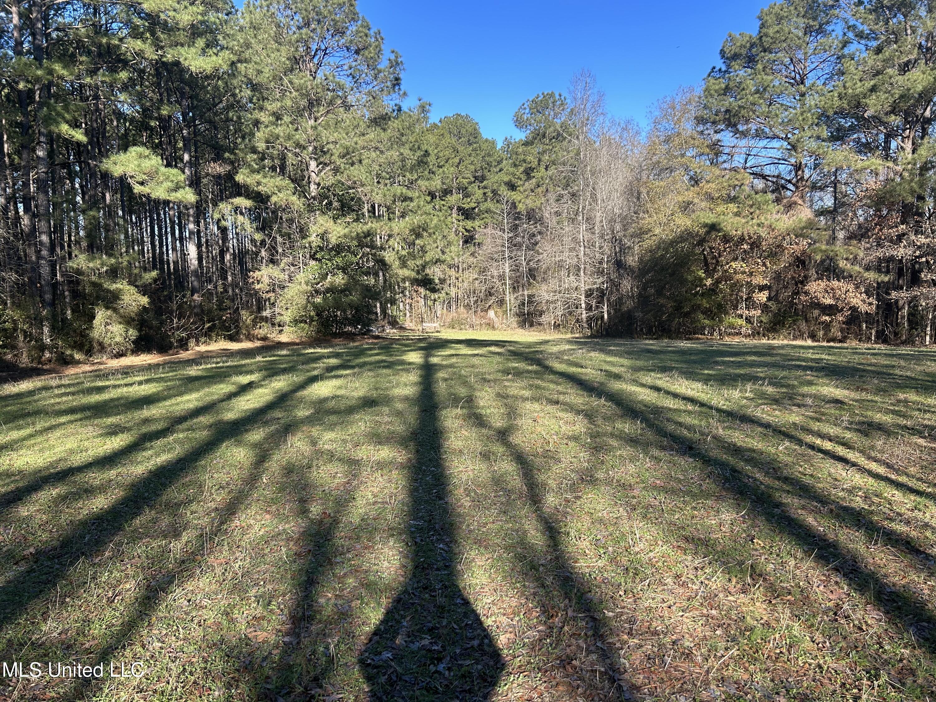 Willie Neyland Road Road