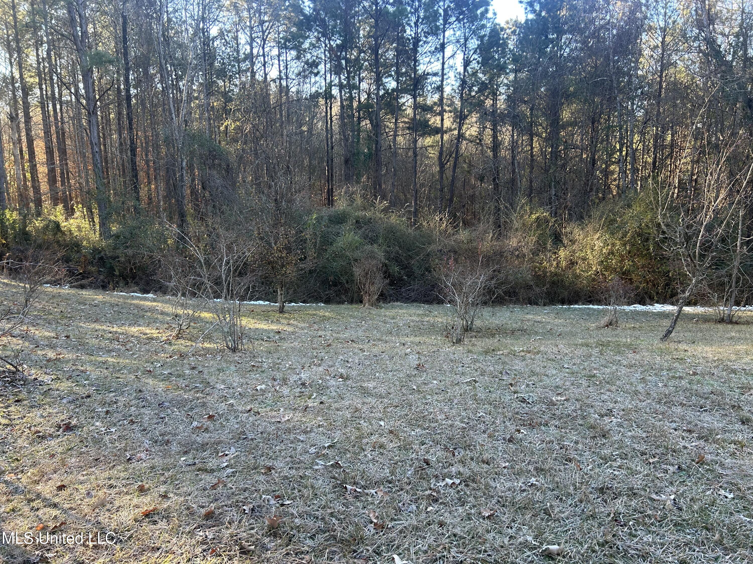 Willie Neyland Road Road