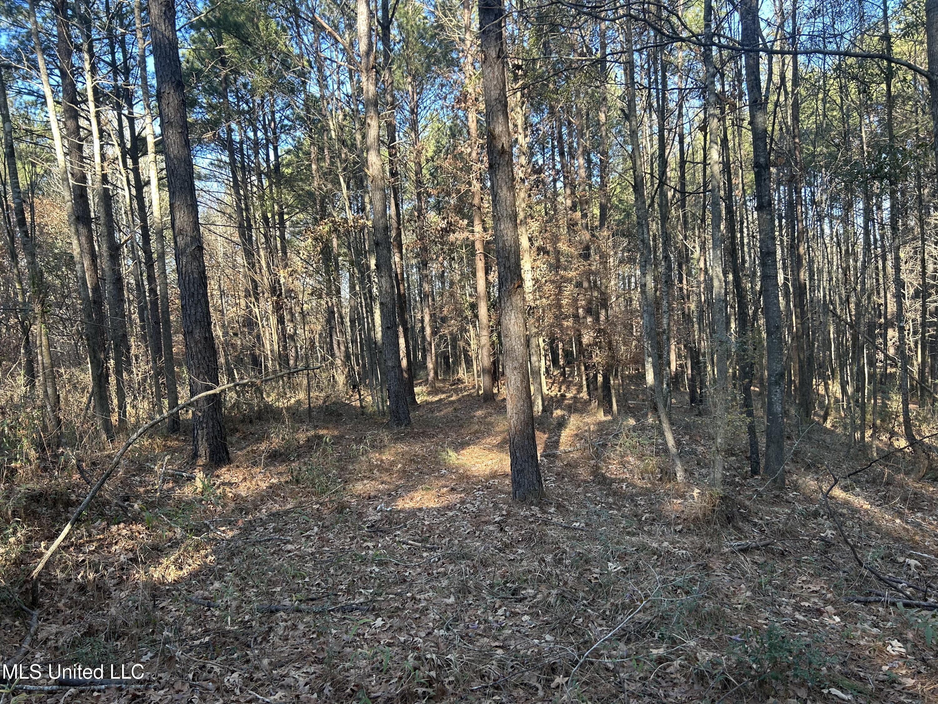 Willie Neyland Road Road