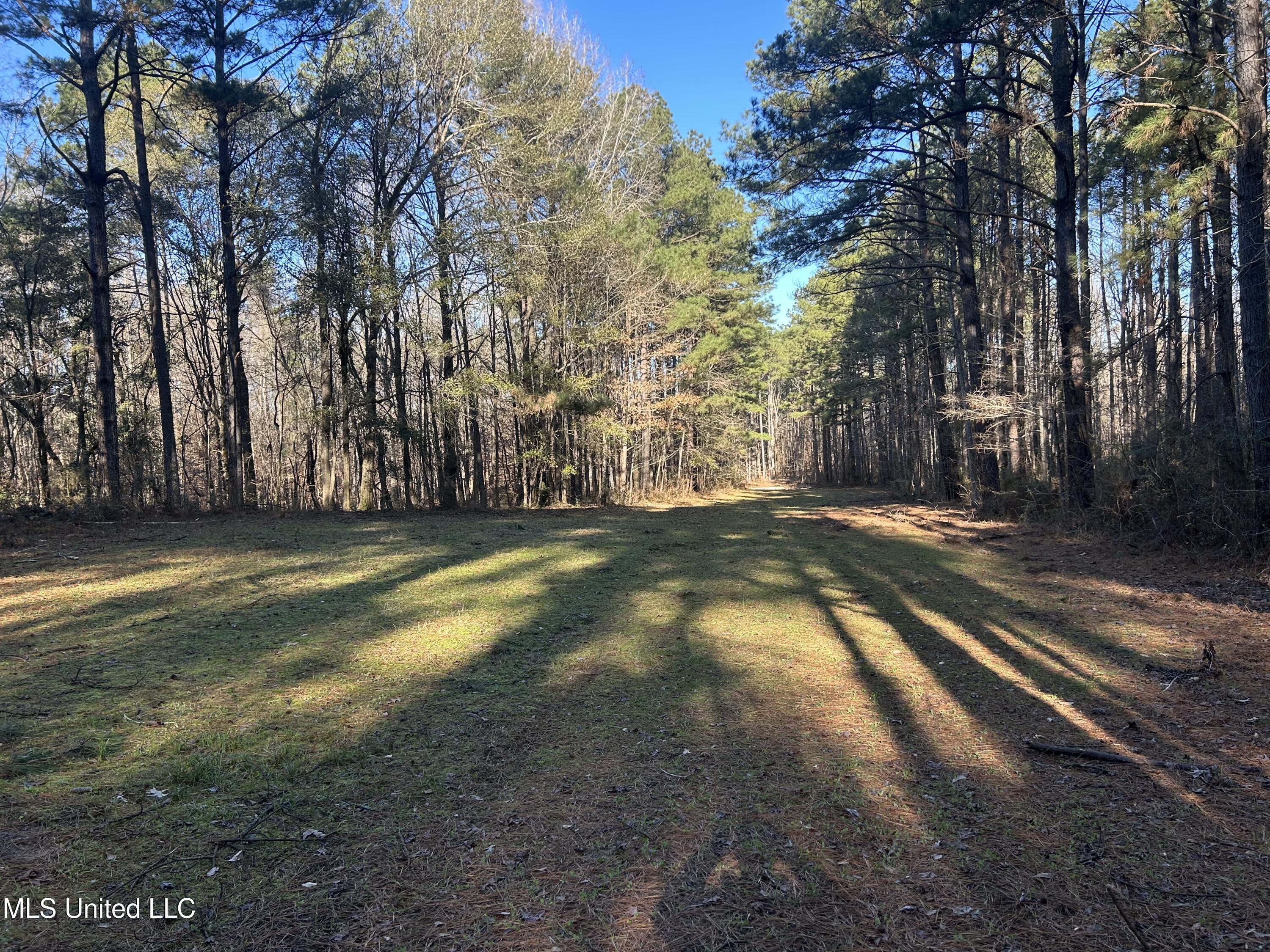 Willie Neyland Road Road