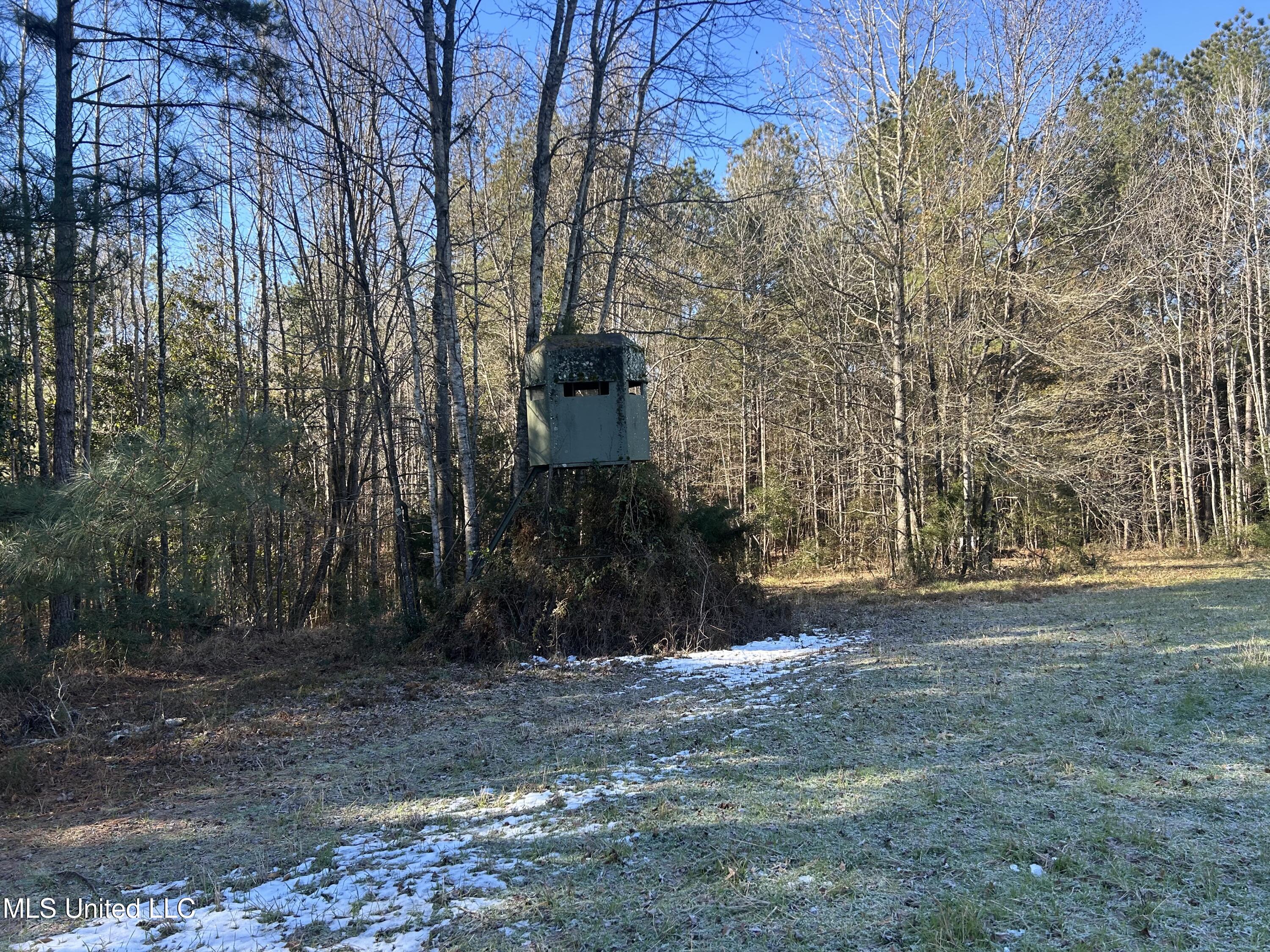 Willie Neyland Road Road