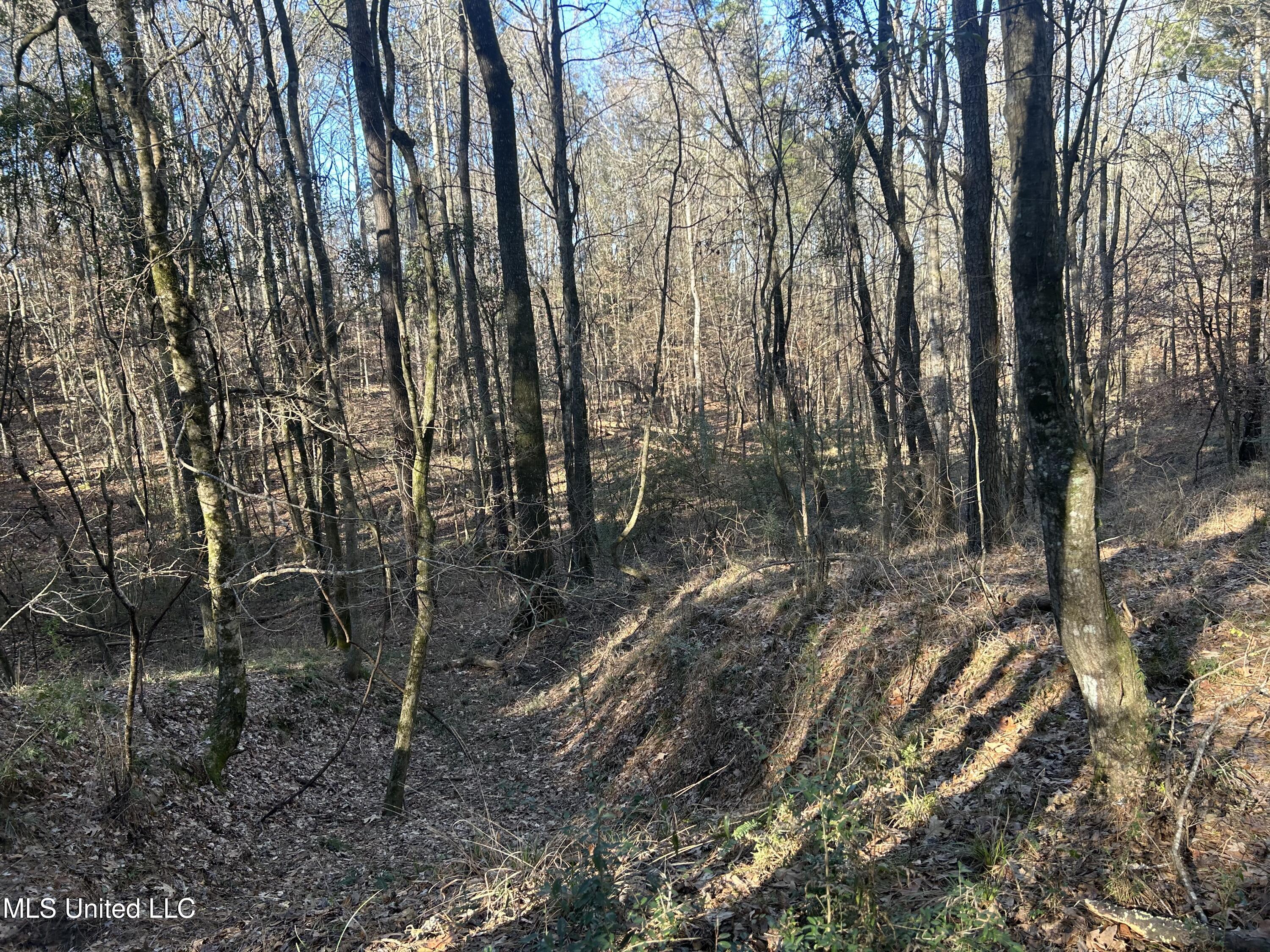 Willie Neyland Road Road