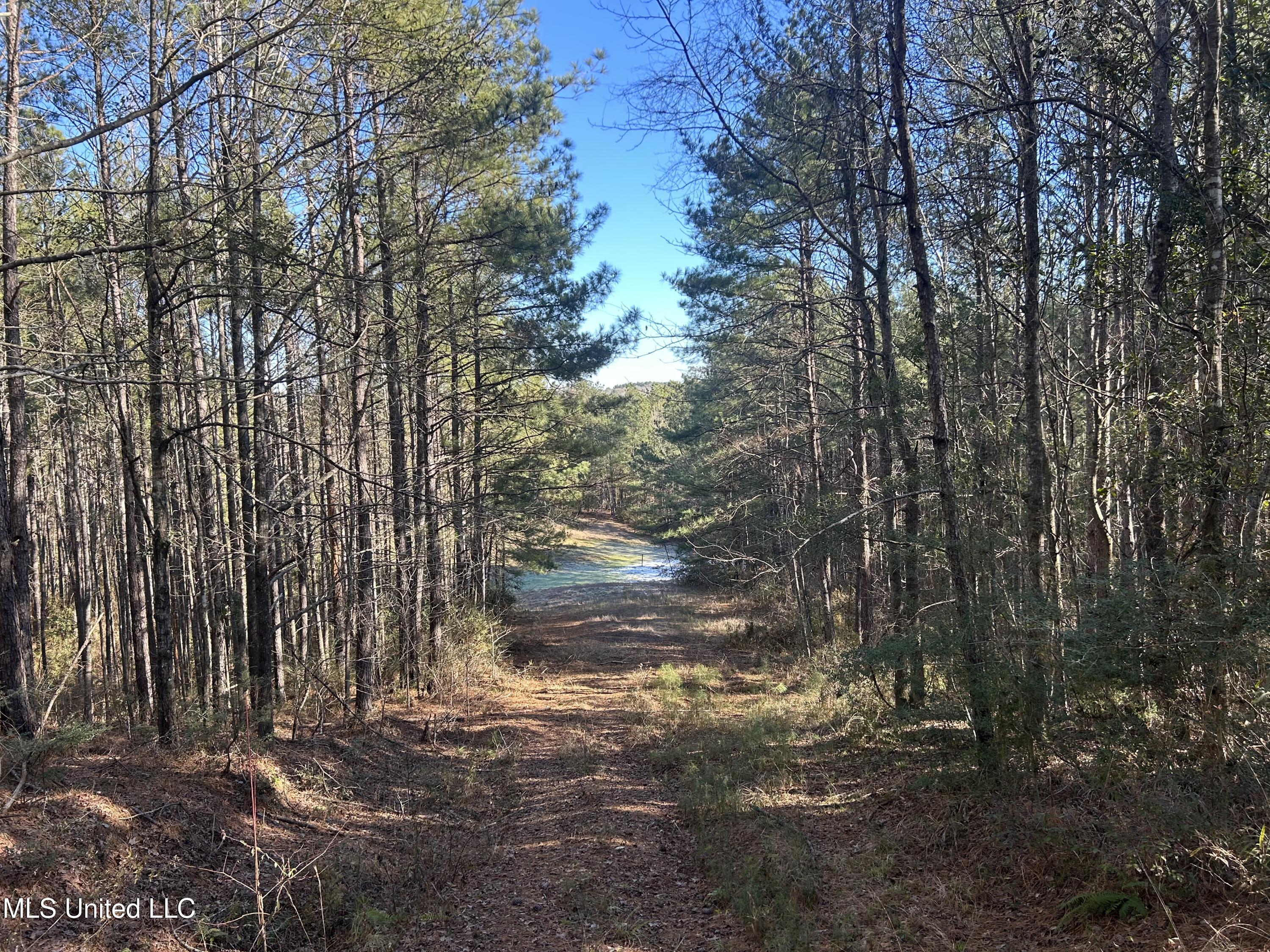 Willie Neyland Road Road