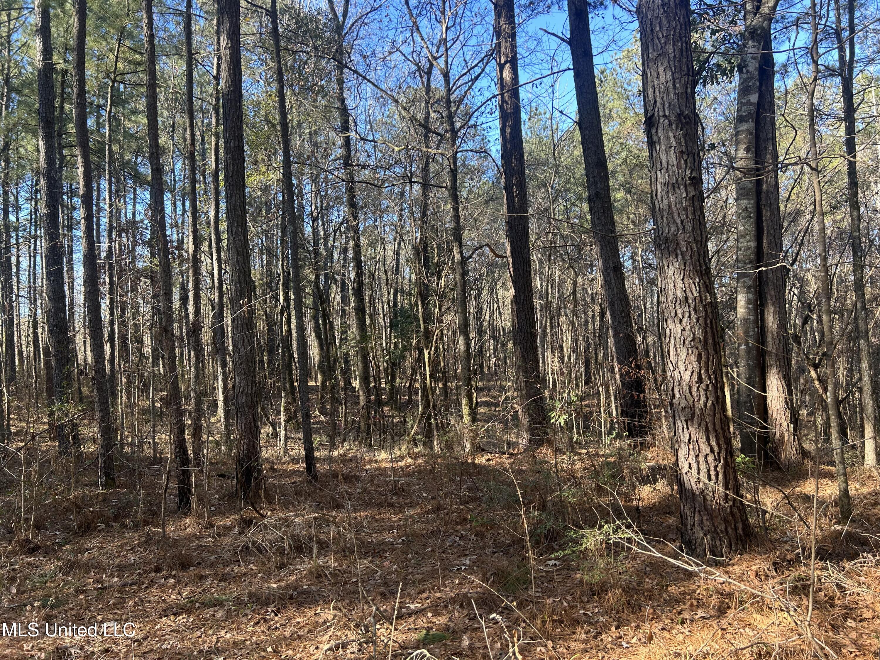 Willie Neyland Road Road