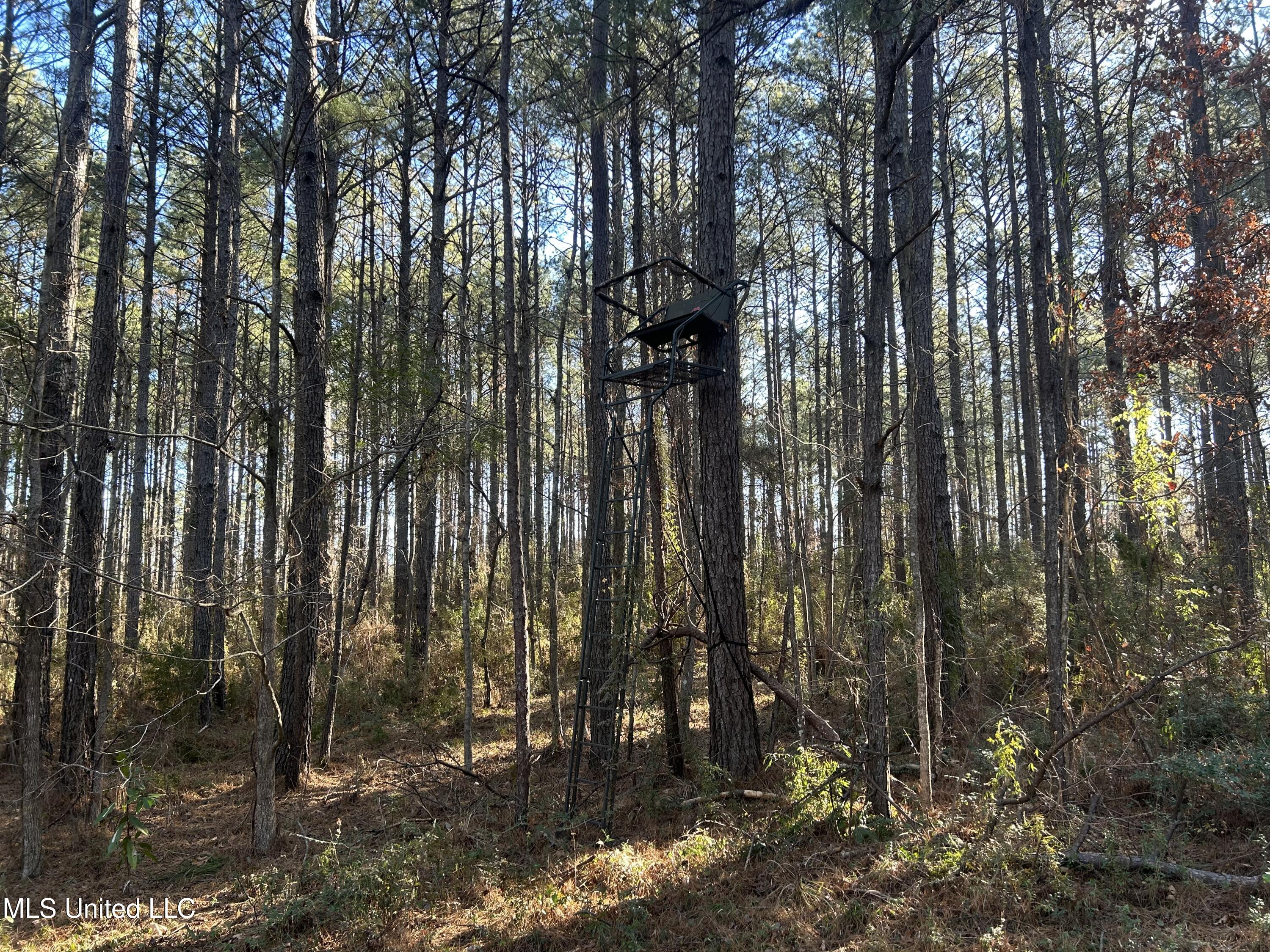 Willie Neyland Road Road