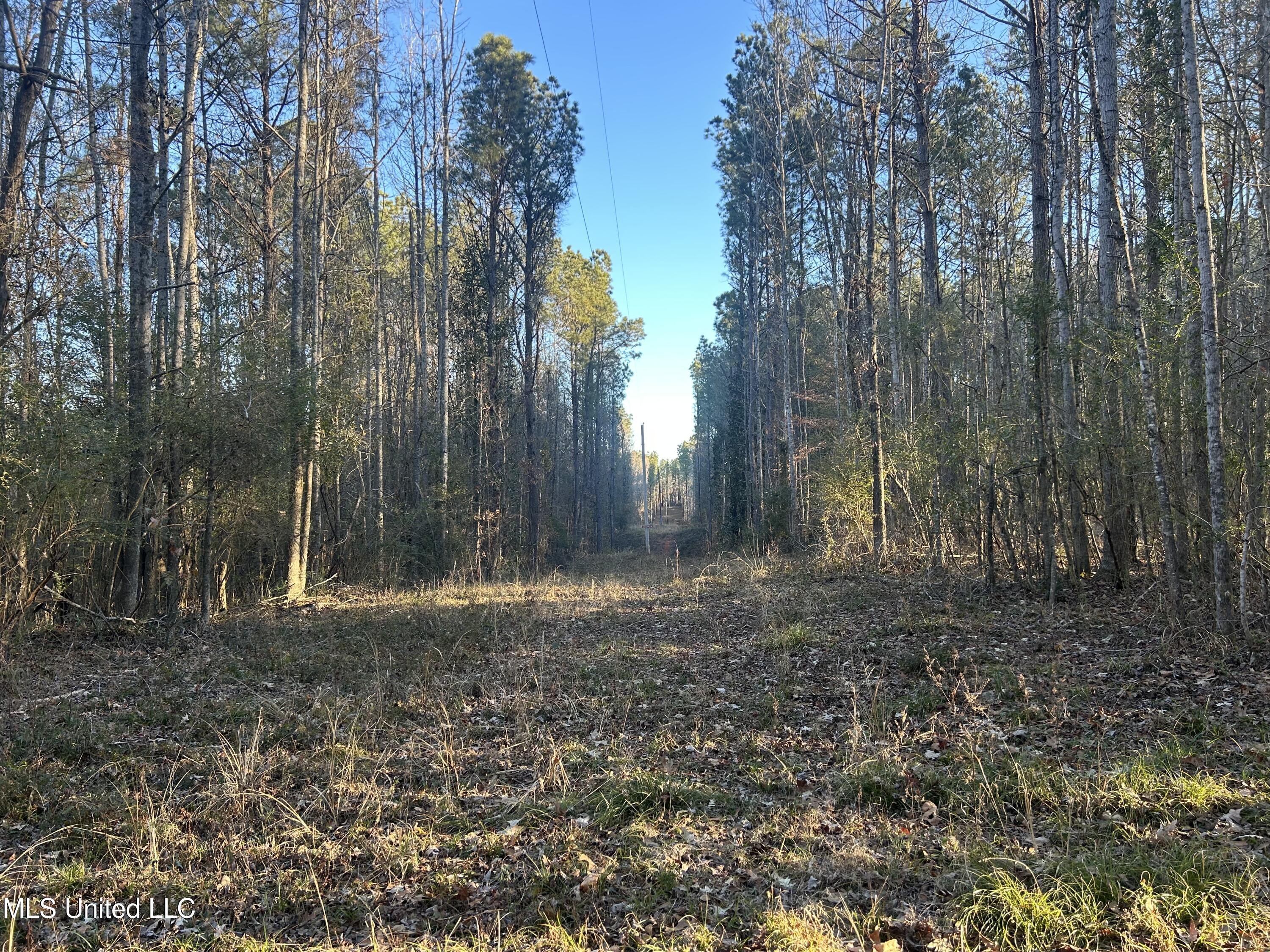 Willie Neyland Road Road