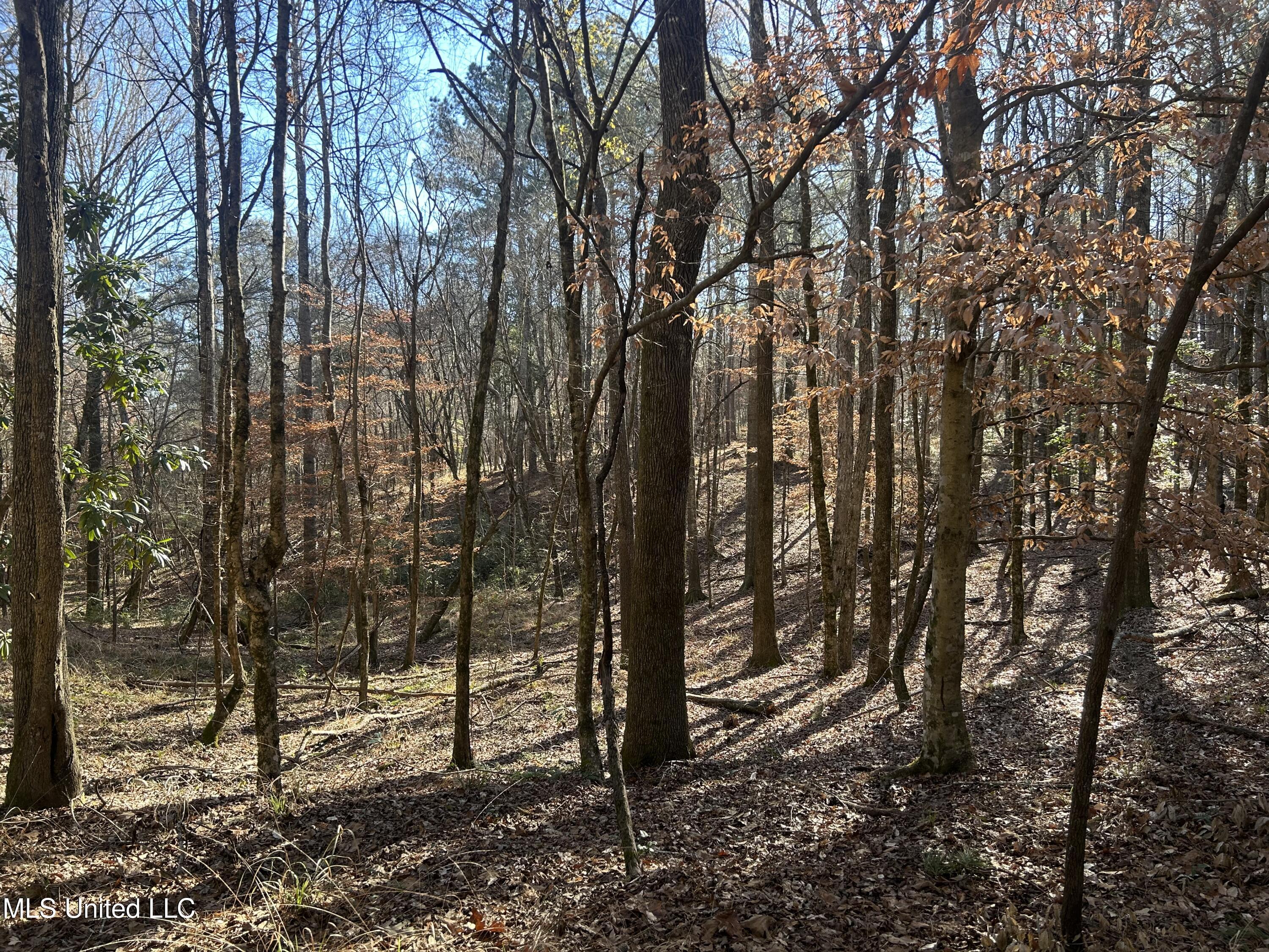 Willie Neyland Road Road