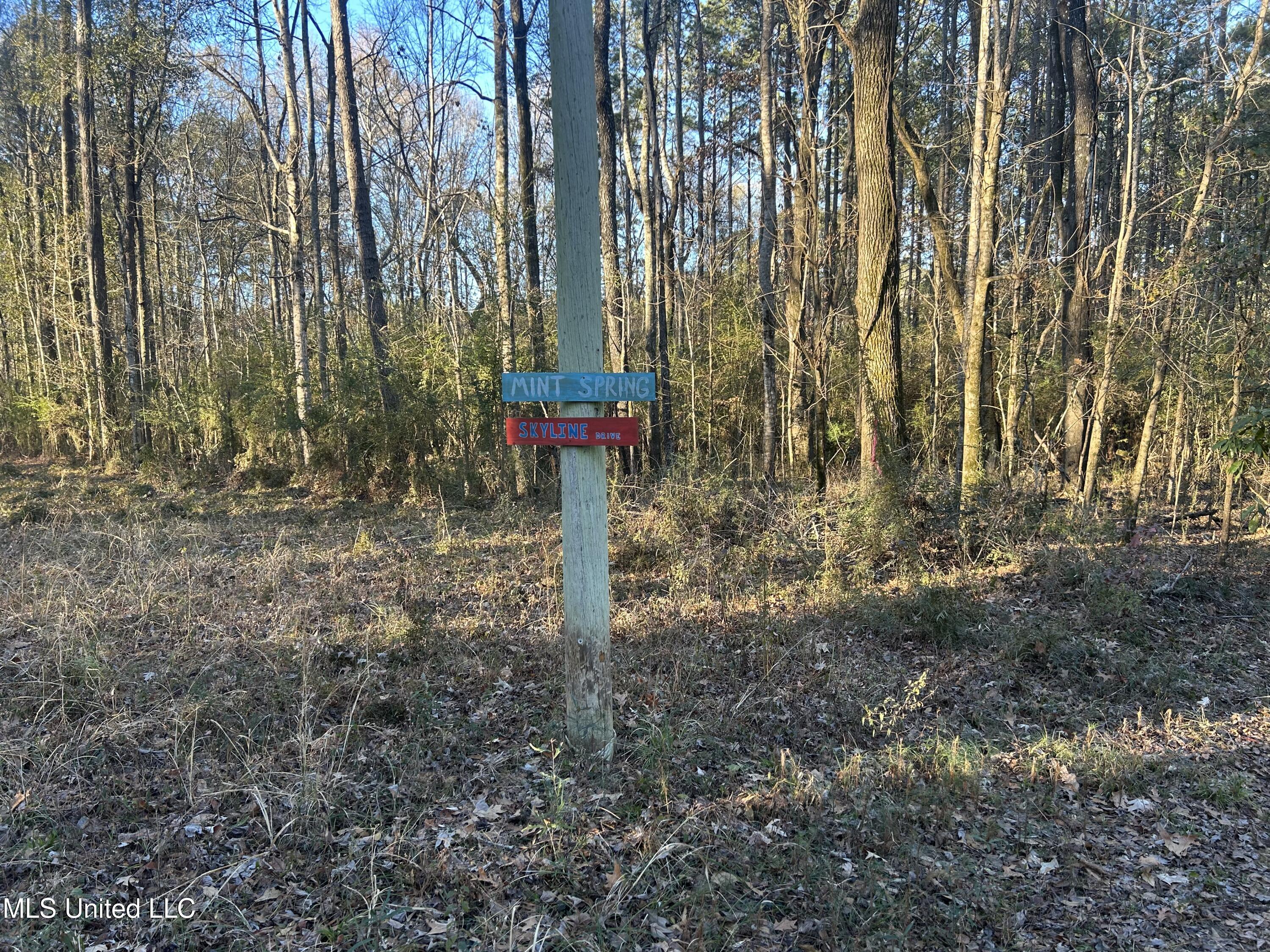 Willie Neyland Road Road