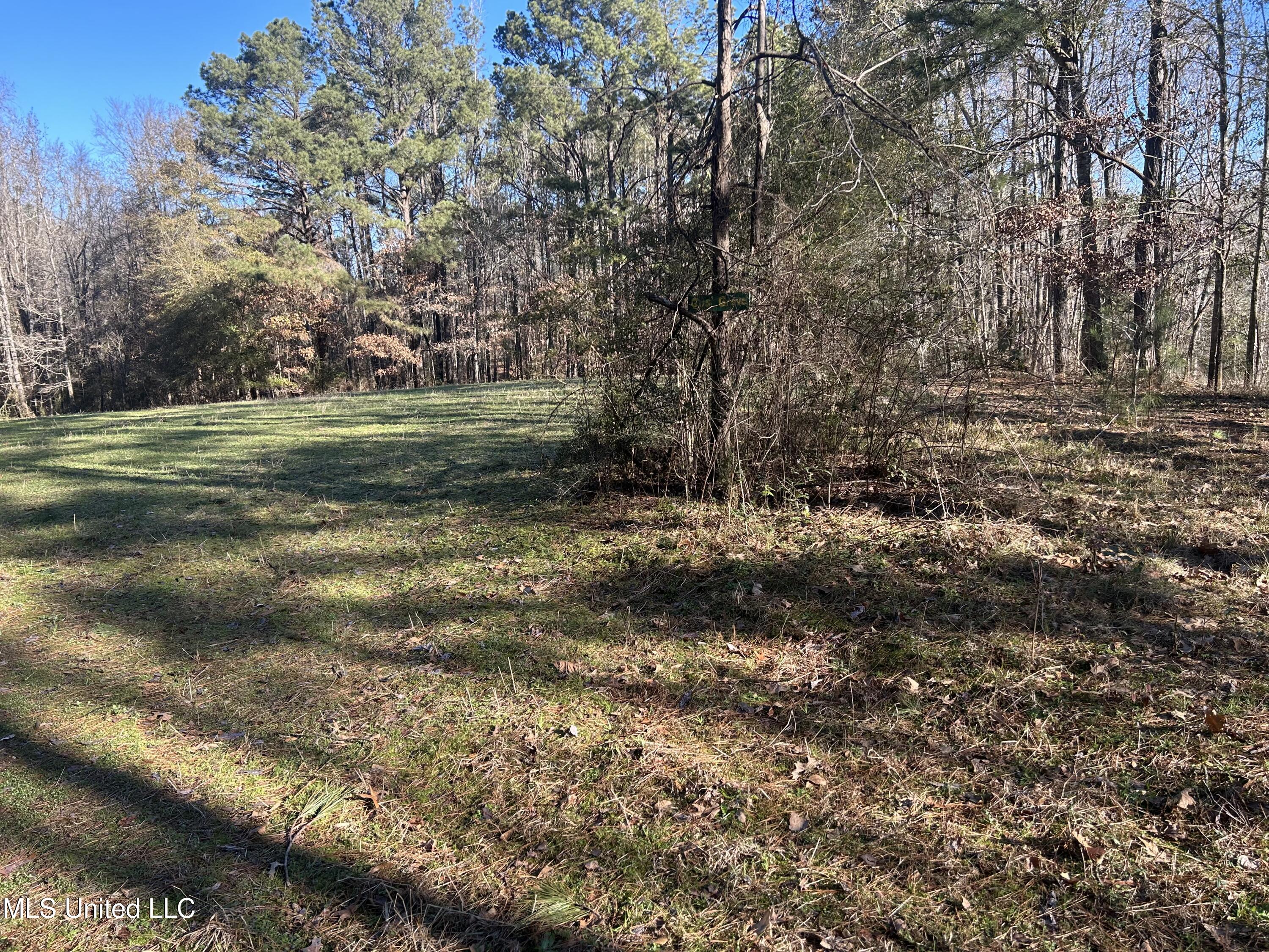 Willie Neyland Road Road