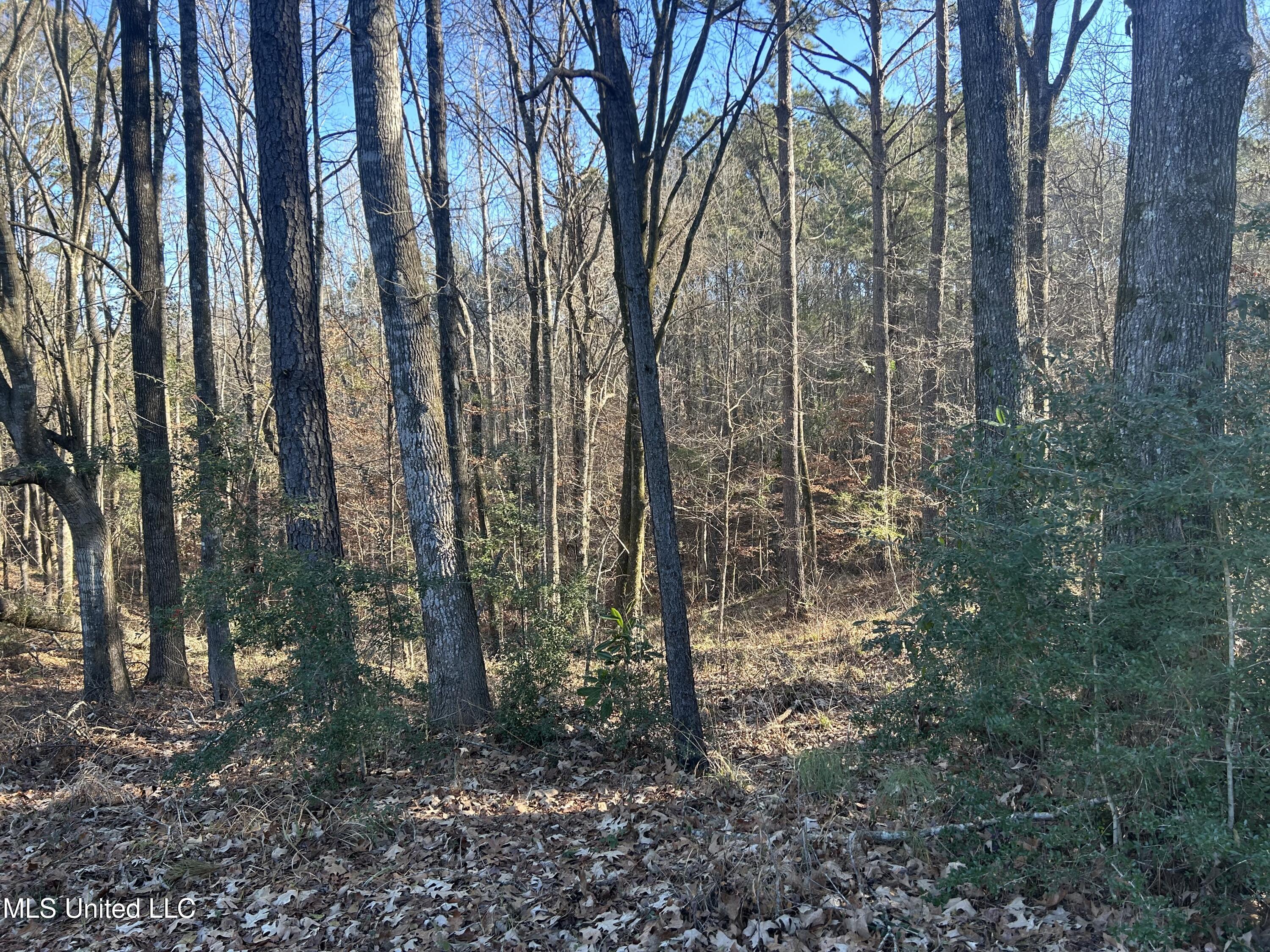 Willie Neyland Road Road