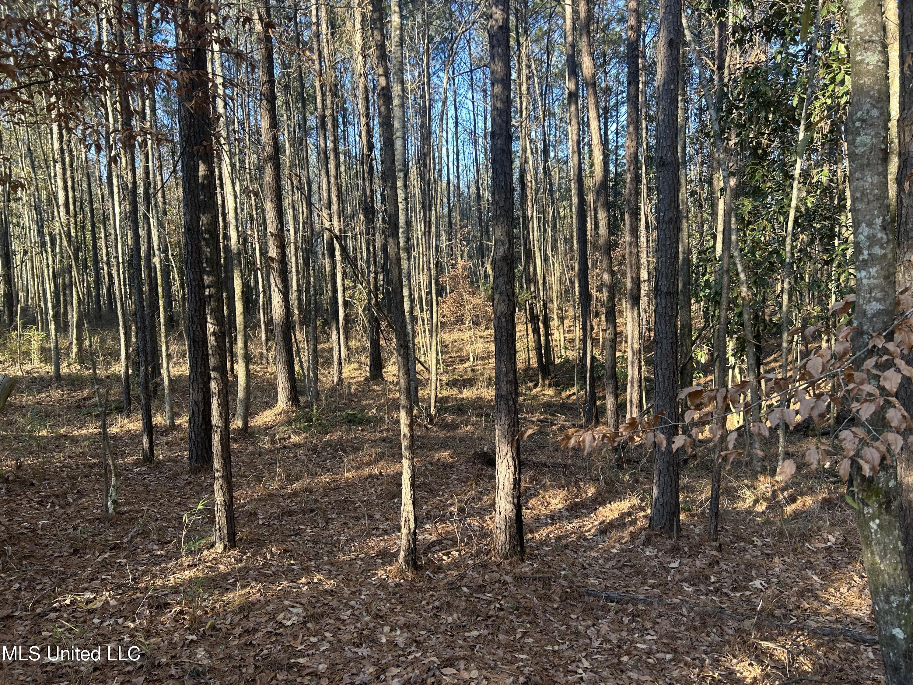 Willie Neyland Road Road