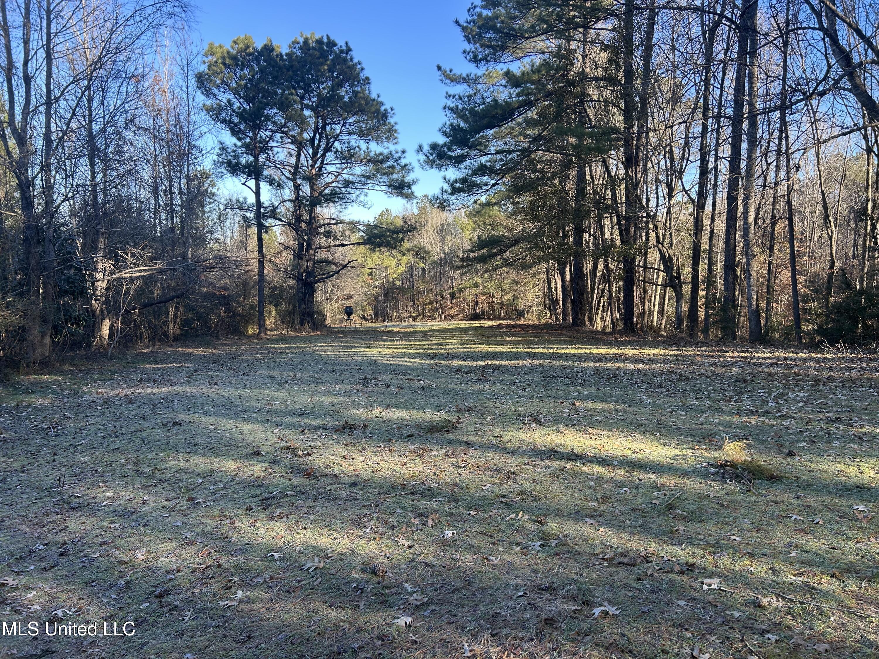 Willie Neyland Road Road