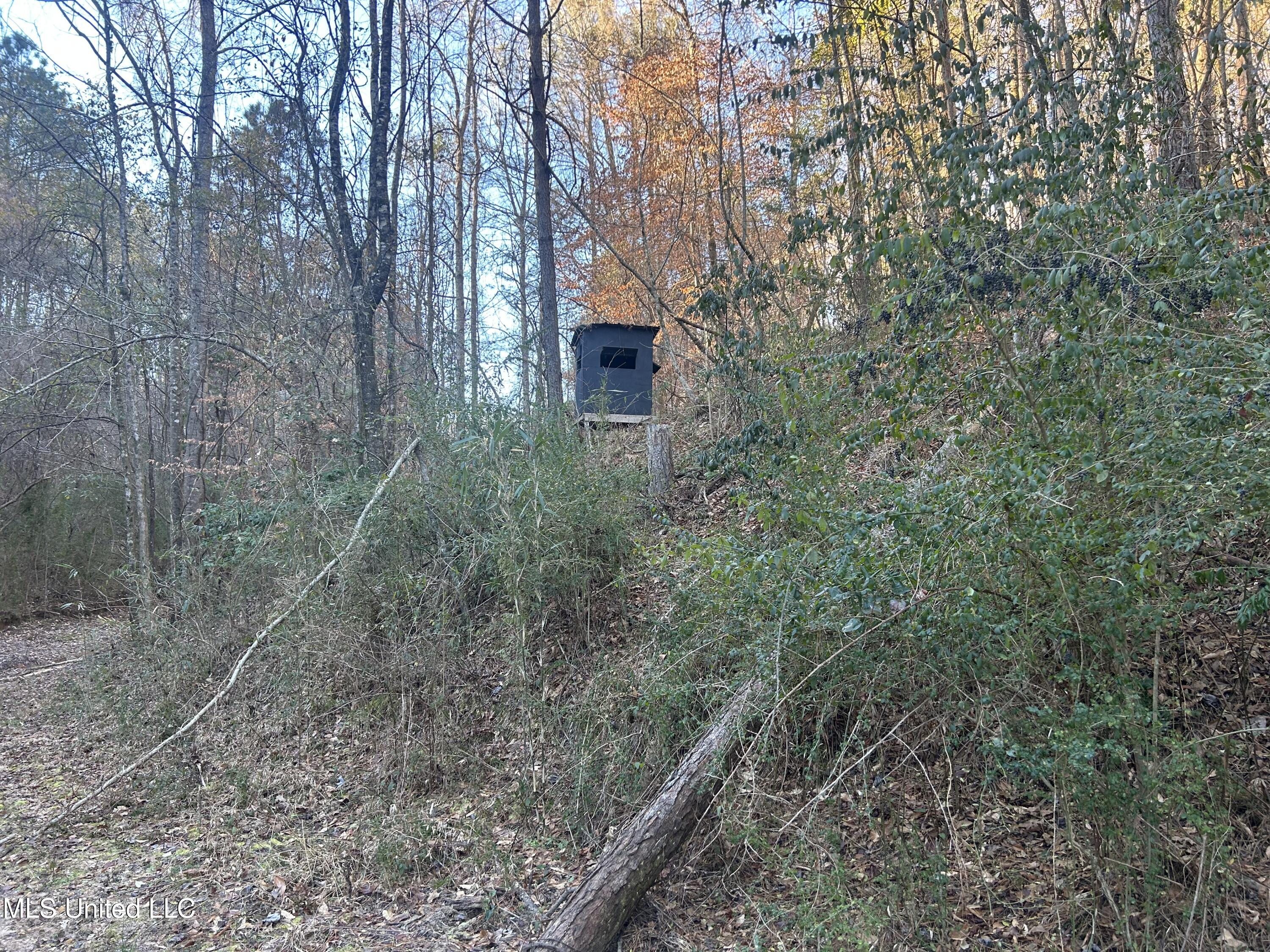 Willie Neyland Road Road