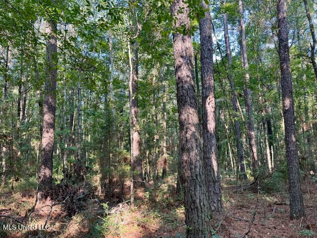 SW Goodwill Loop Loop