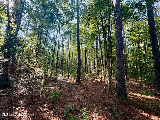 SW Goodwill Loop Loop