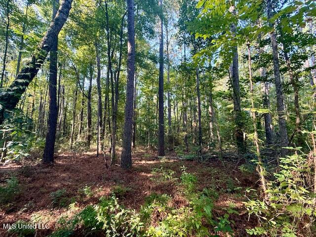 SW Goodwill Loop Loop