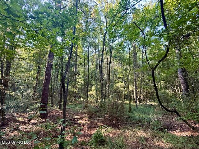 SW Goodwill Loop Loop