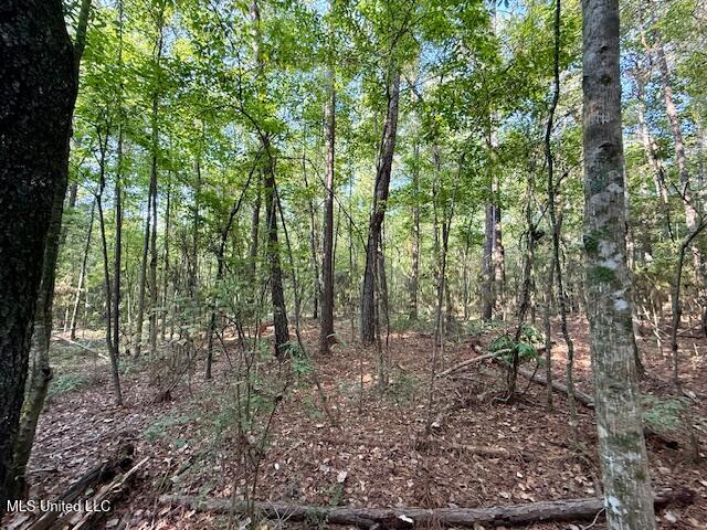 SW Goodwill Loop Loop