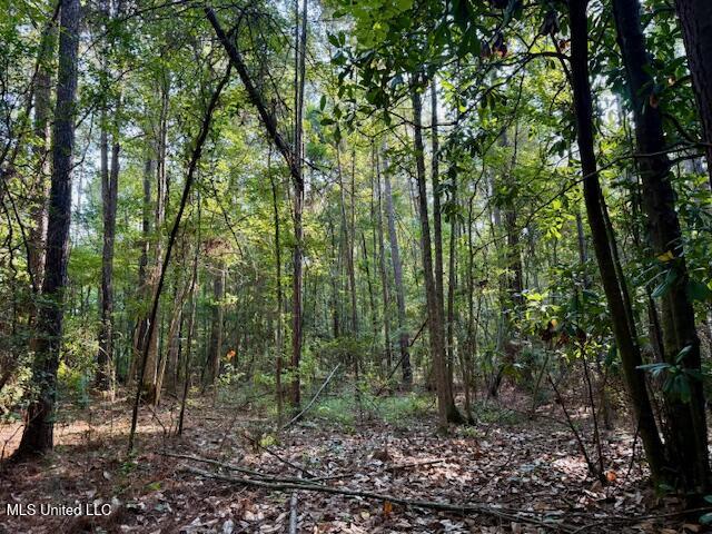 SW Goodwill Loop Loop