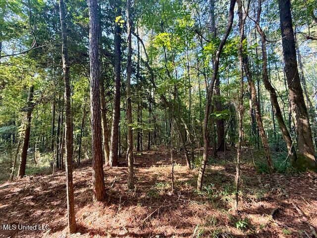 SW Goodwill Loop Loop