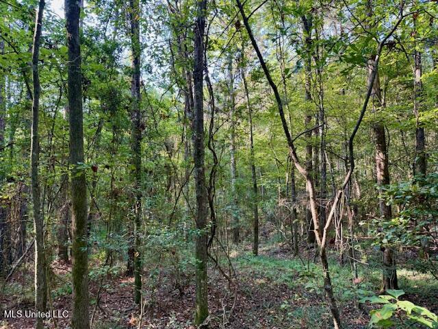 SW Goodwill Loop Loop