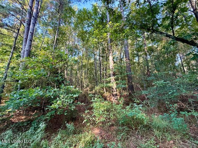 SW Goodwill Loop Loop