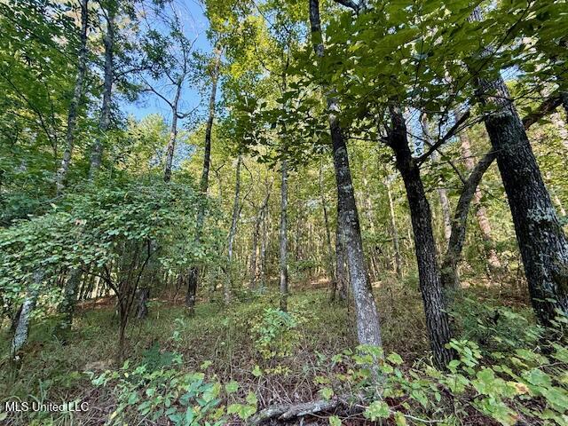 SW Goodwill Loop Loop