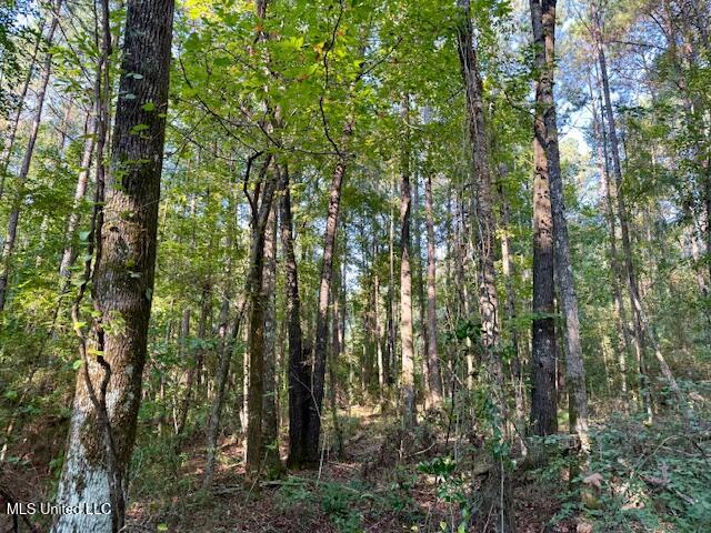 SW Goodwill Loop Loop